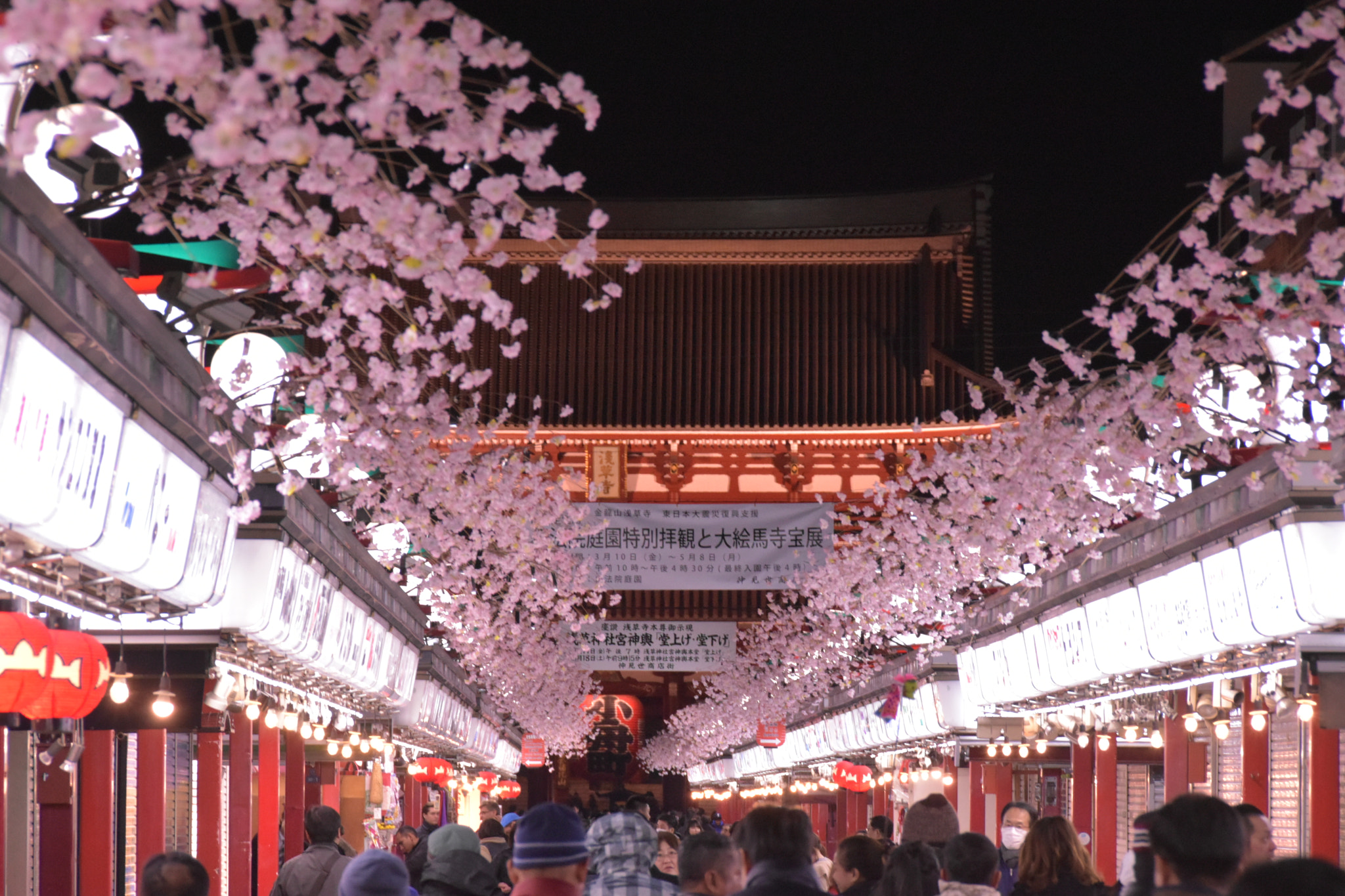 Nikon D5500 sample photo. Asakusa photography