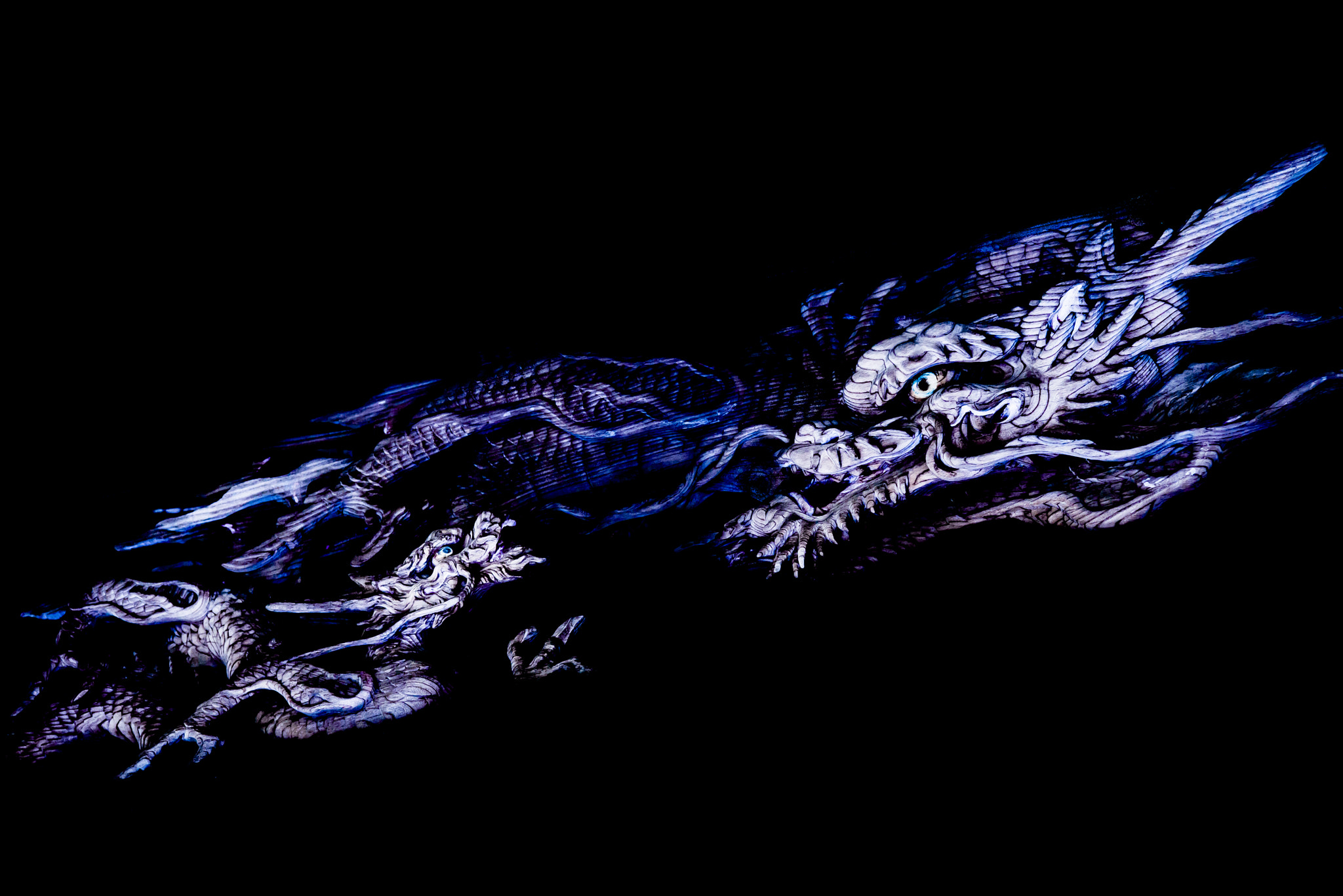 ZEISS Makro-Planar T* 100mm F2 sample photo. Dragons photography