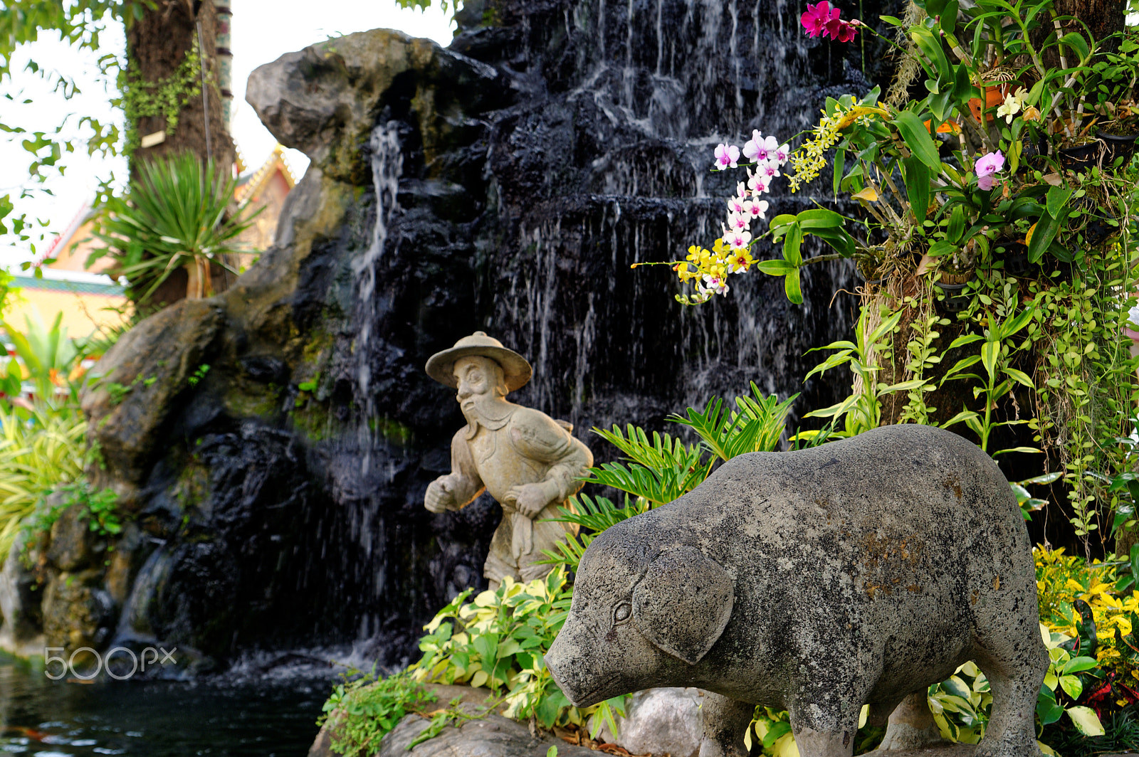 Nikon D700 sample photo. The stone pig photography