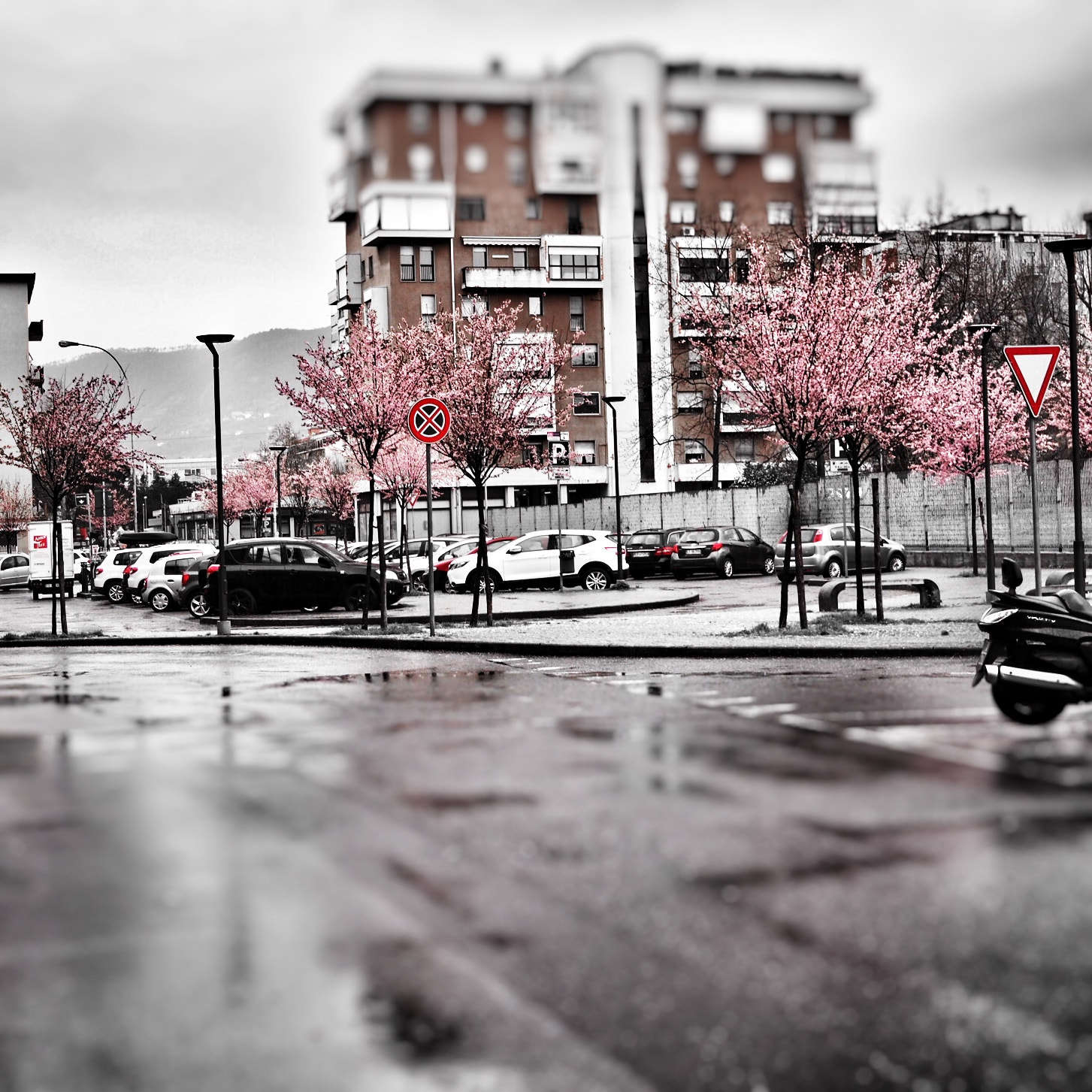 Olympus PEN-F sample photo. Signs of spring photography