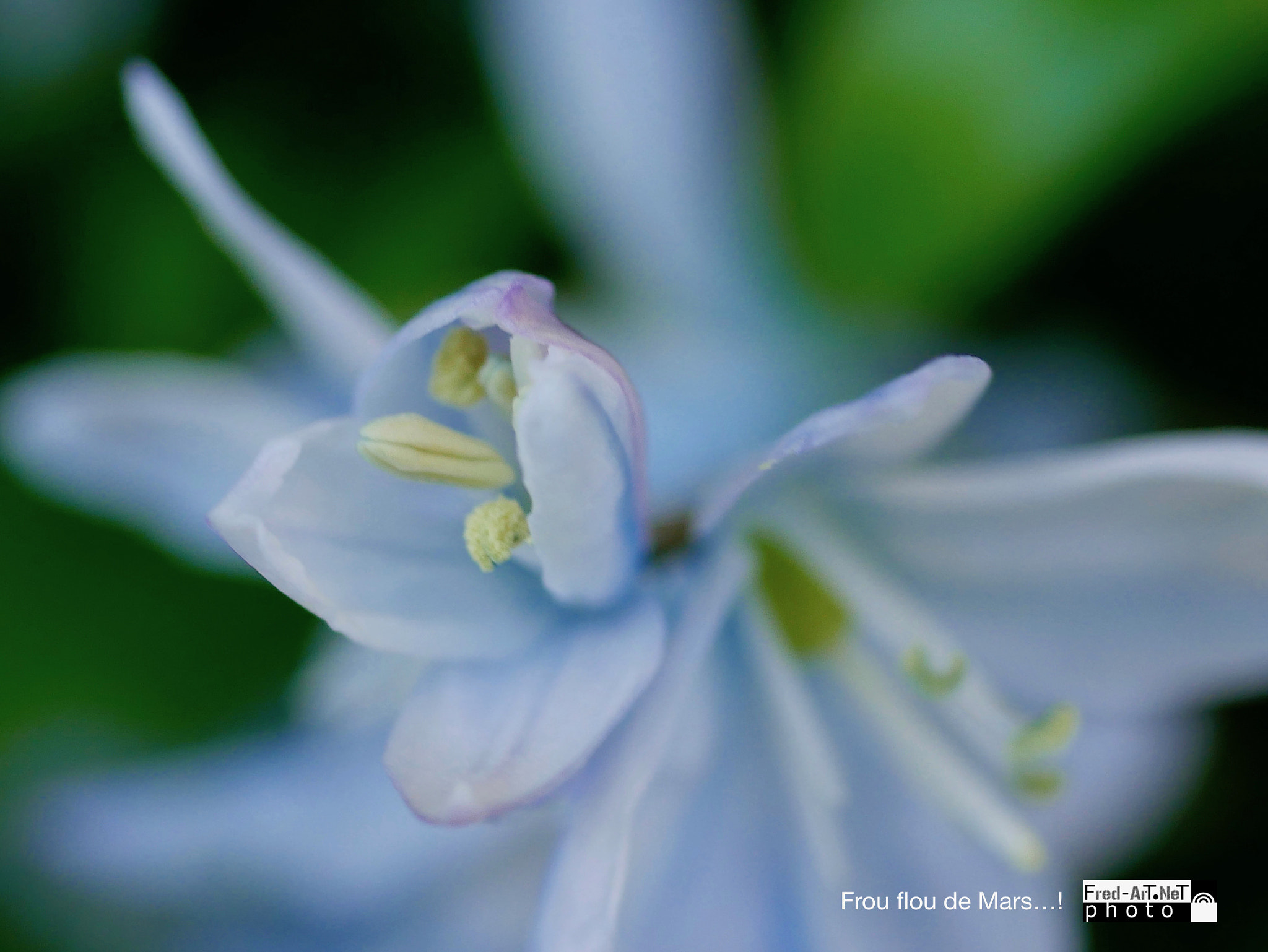 Panasonic Lumix G Macro 30mm F2.8 ASPH Mega OIS sample photo. Frou flou...! photography