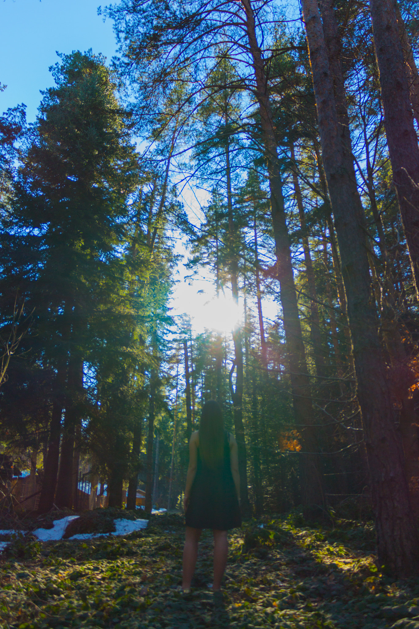 Canon EOS 650D (EOS Rebel T4i / EOS Kiss X6i) sample photo. Wonderland photography