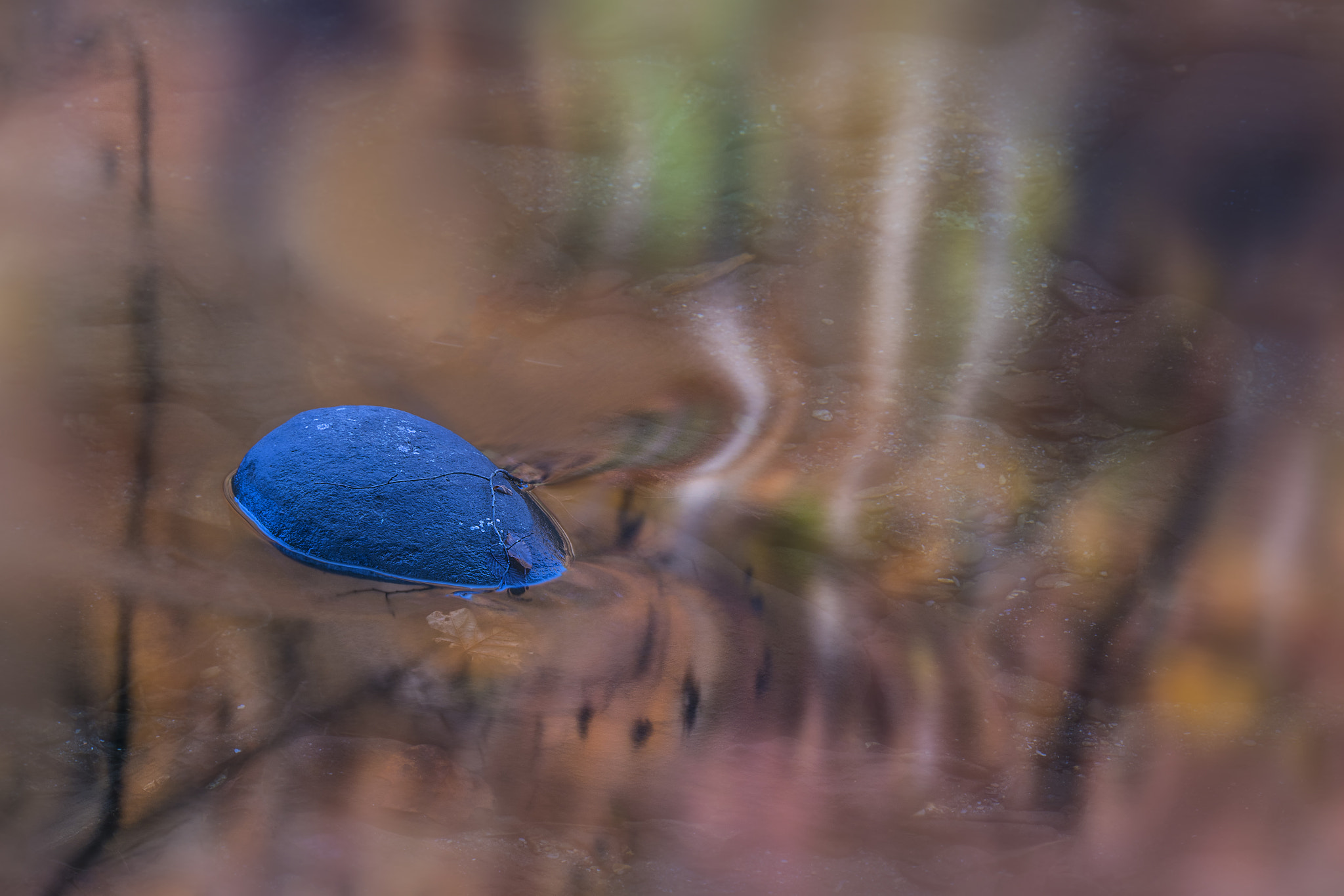 Nikon D810 sample photo. Mystery reflections photography