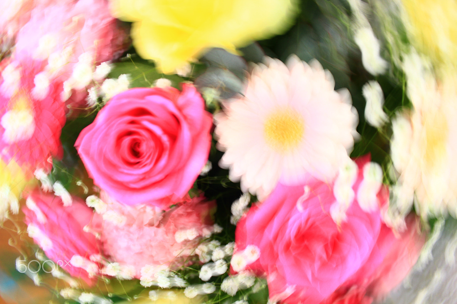 Canon EOS 600D (Rebel EOS T3i / EOS Kiss X5) sample photo. Dancing photography