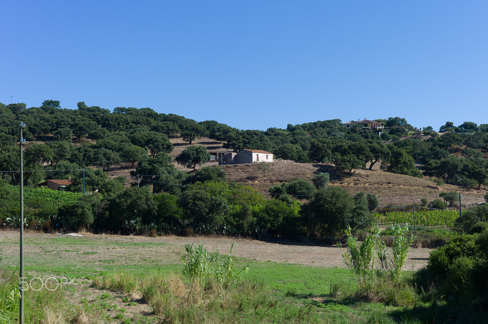 Leica M9 + Summicron-M 50mm f/2 (IV, V) sample photo. Sardinian landscape photography