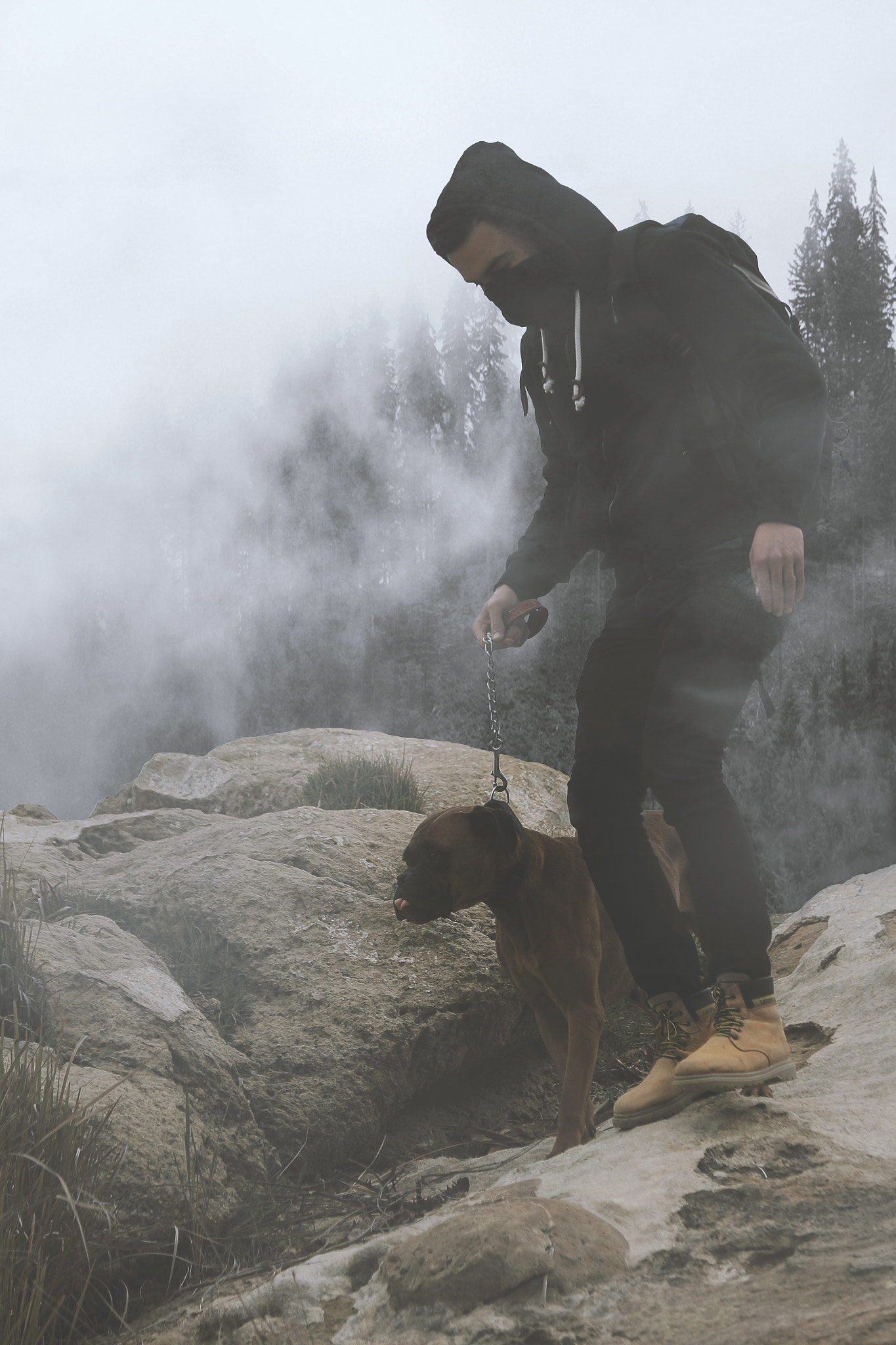 Canon EF-S 55-250mm F4-5.6 IS II sample photo. Fog <3 photography