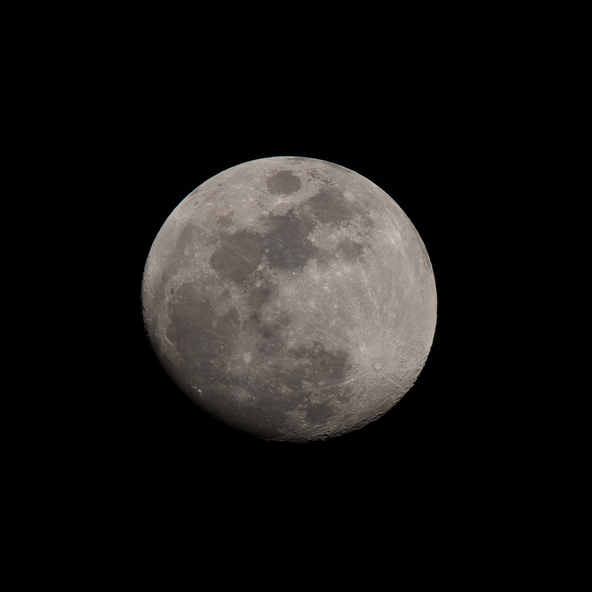 Sigma 150-600mm F5-6.3 DG OS HSM | S sample photo