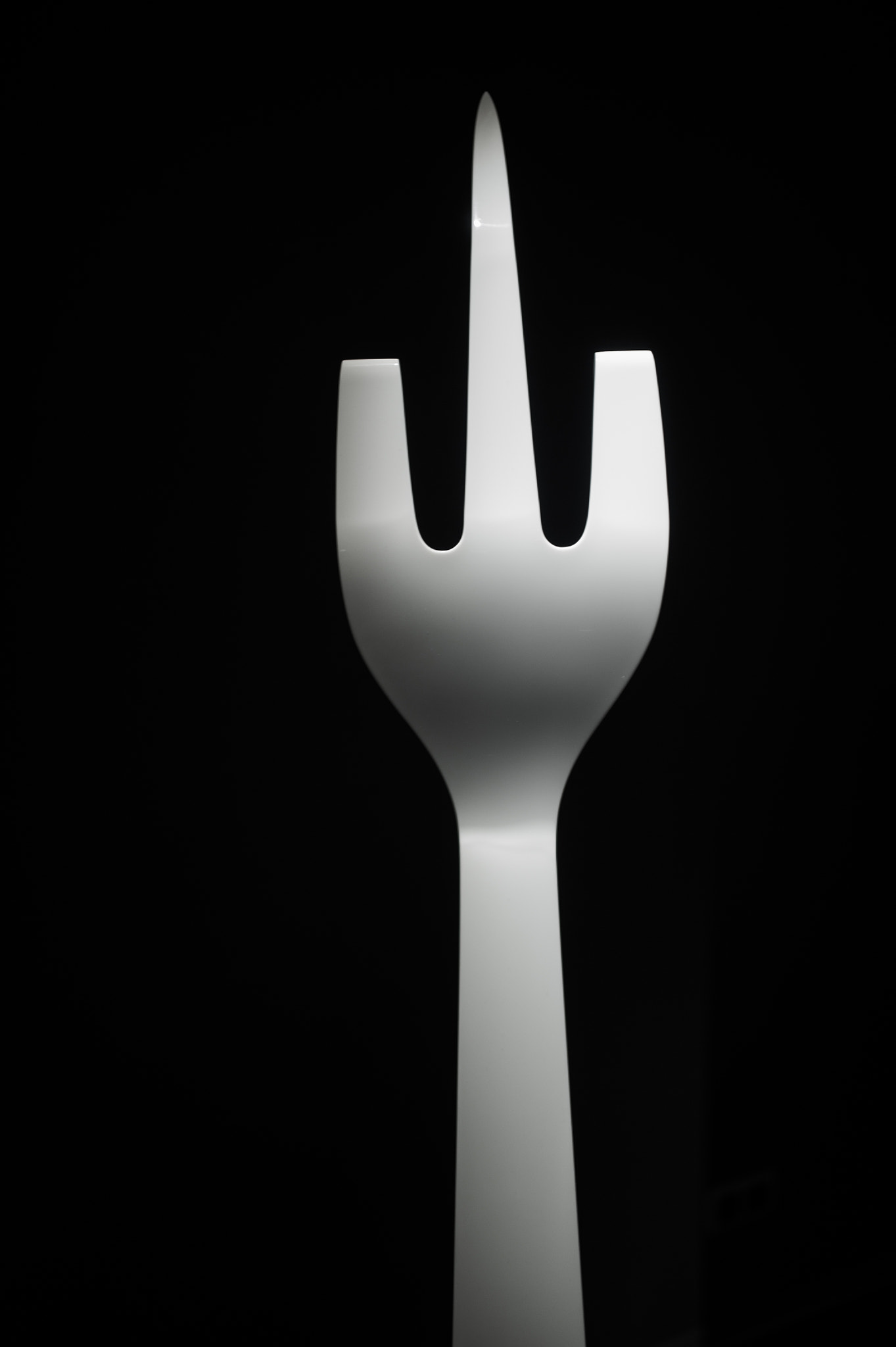 Nikon D700 + Sigma 35mm F1.4 DG HSM Art sample photo. Fork riot photography