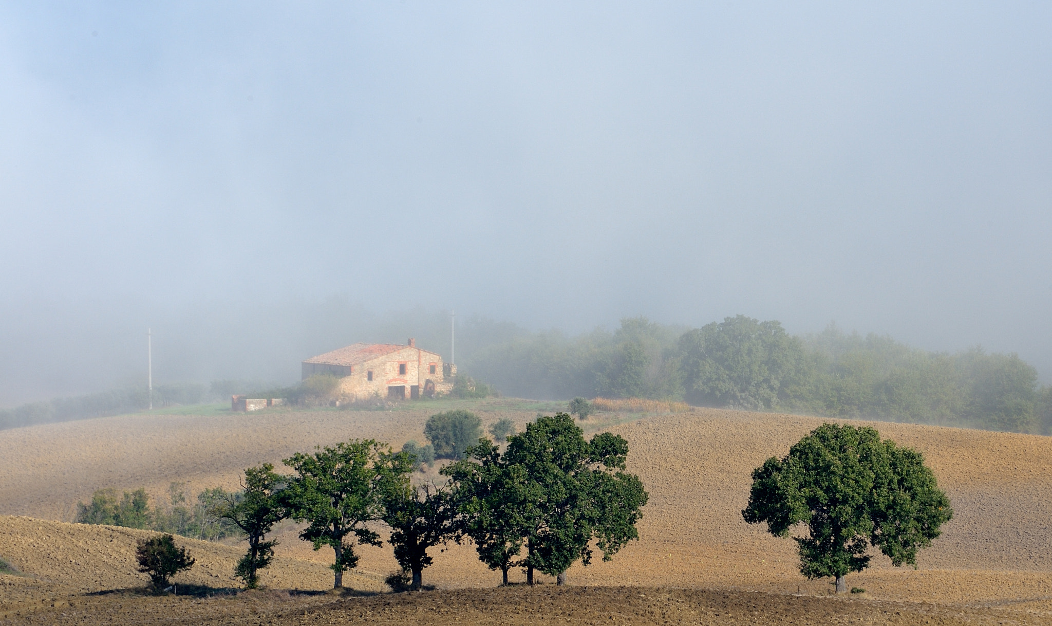 Nikon D700 sample photo. Foggy memories of toscana photography