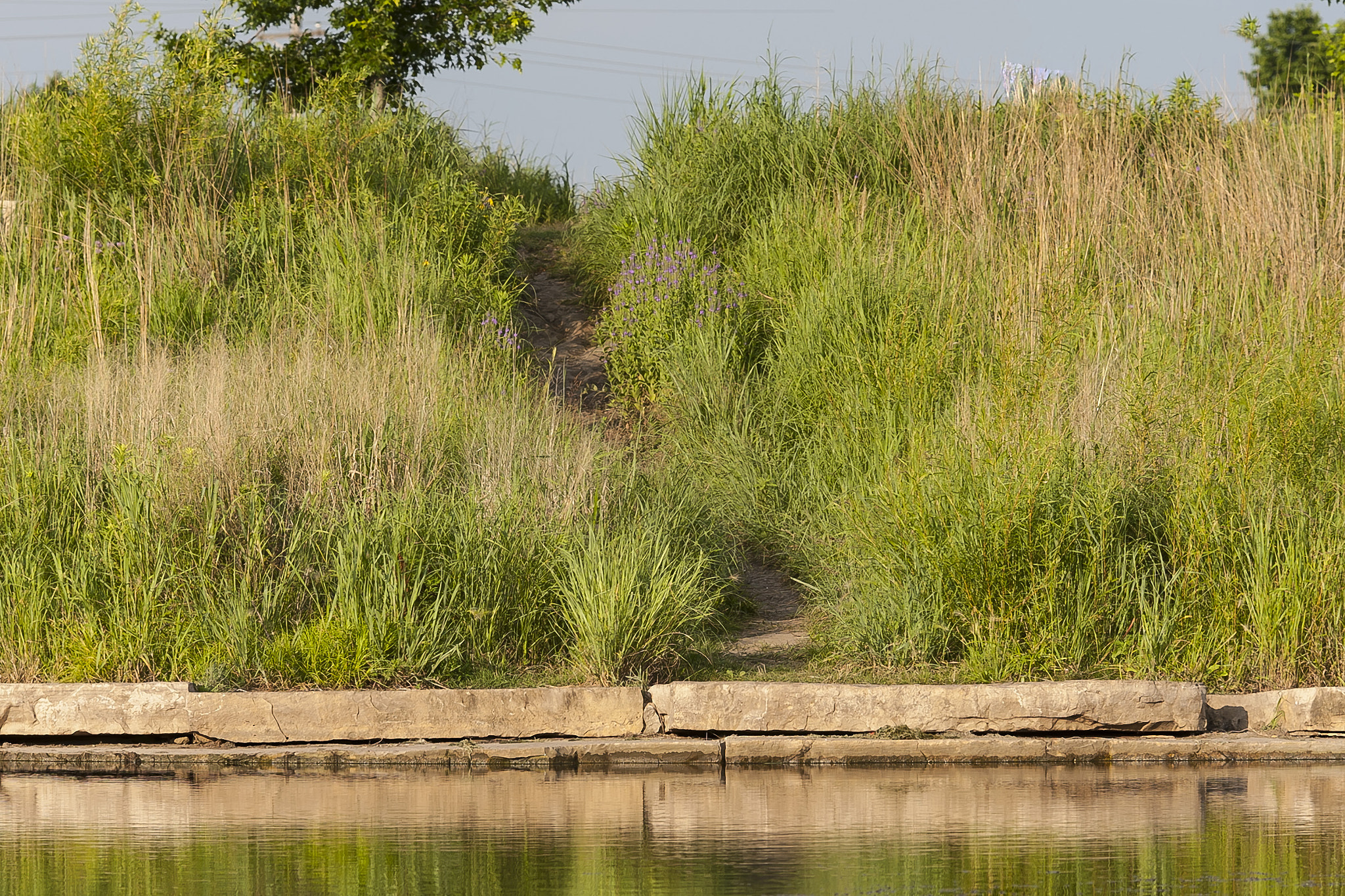 Canon EF 135mm F2L USM sample photo. The path to a quiet place photography