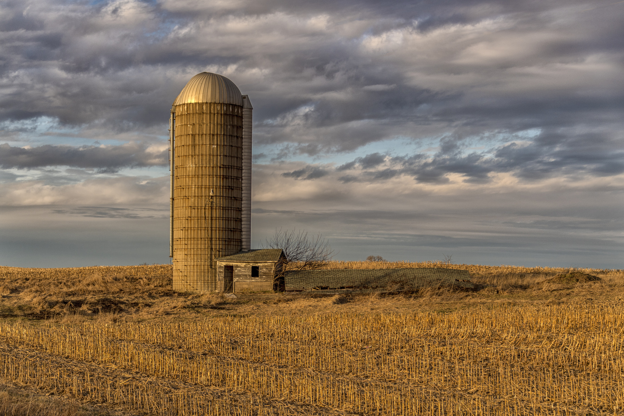 Nikon D5 sample photo. Abandonded silo photography