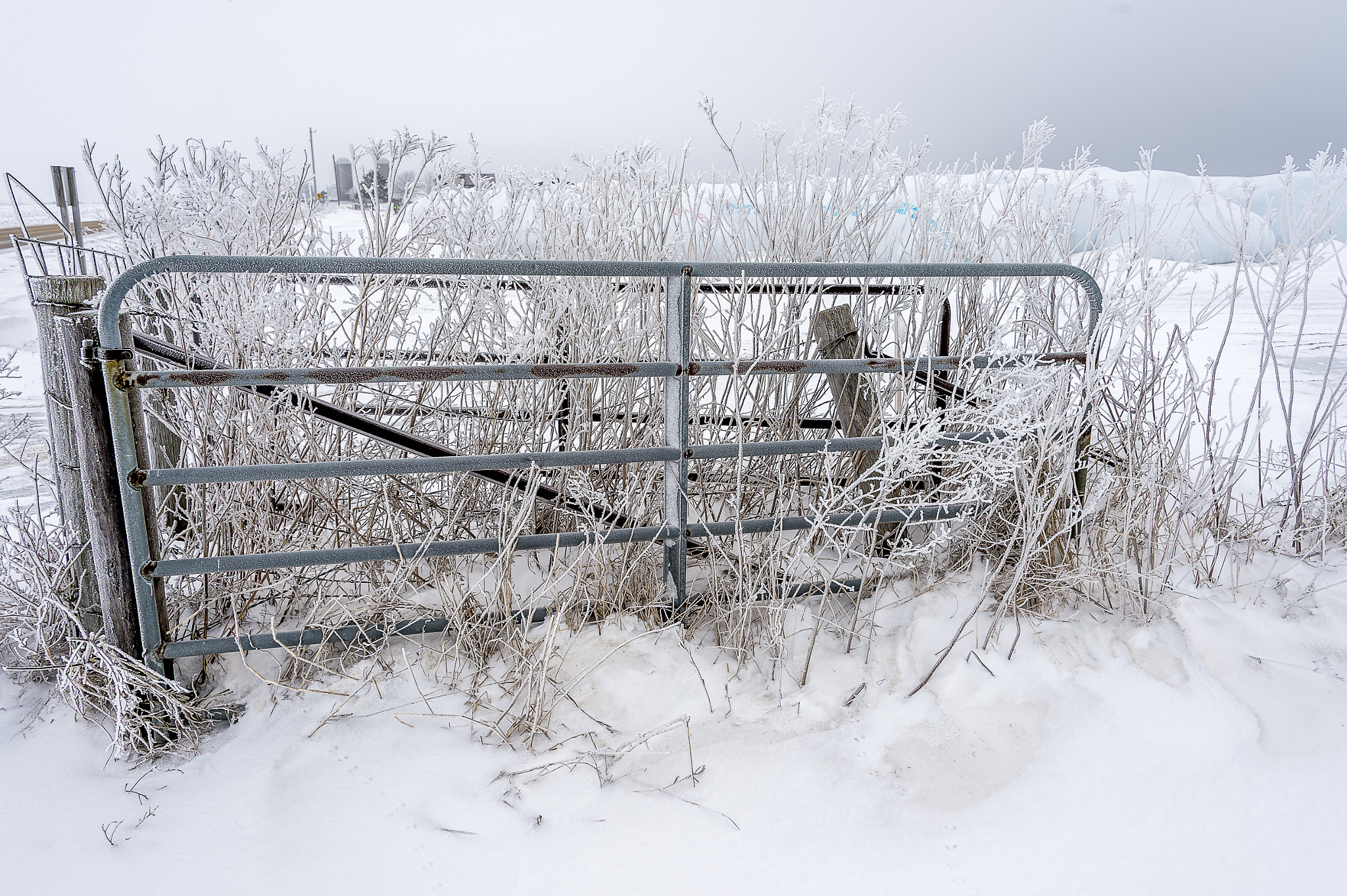 Nikon D4S sample photo. Winter gate photography