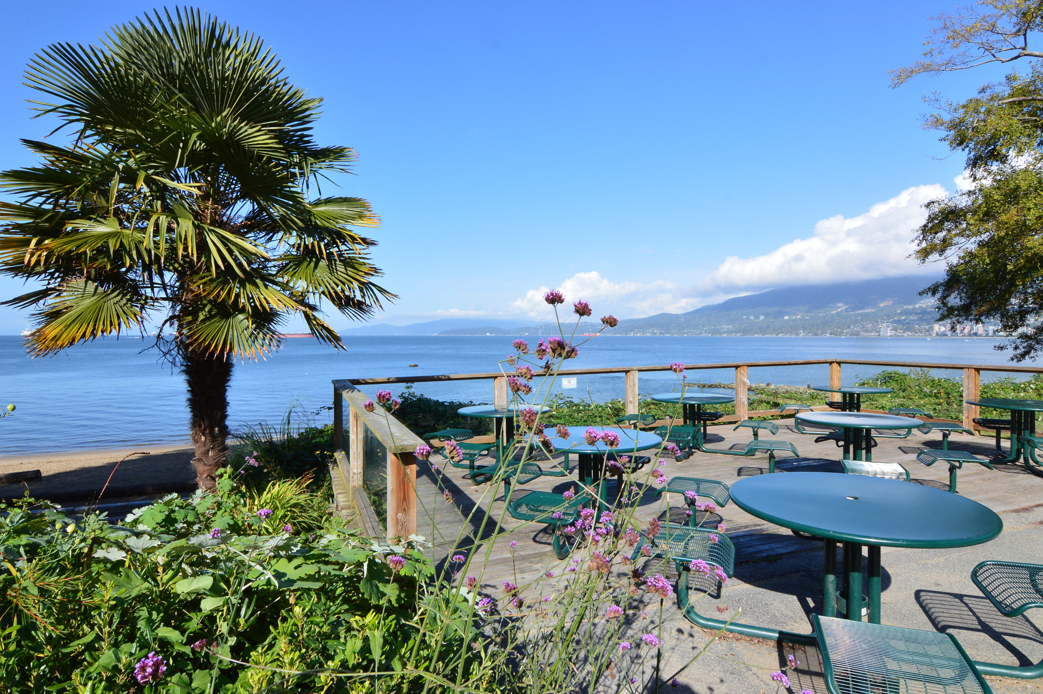 Nikon D3200 sample photo. Picturesvancouverluss photography