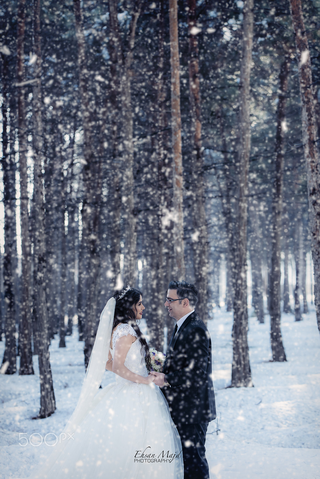 Nikon D810 + Sigma 105mm F2.8 EX DG Macro sample photo. Snow & bride photography