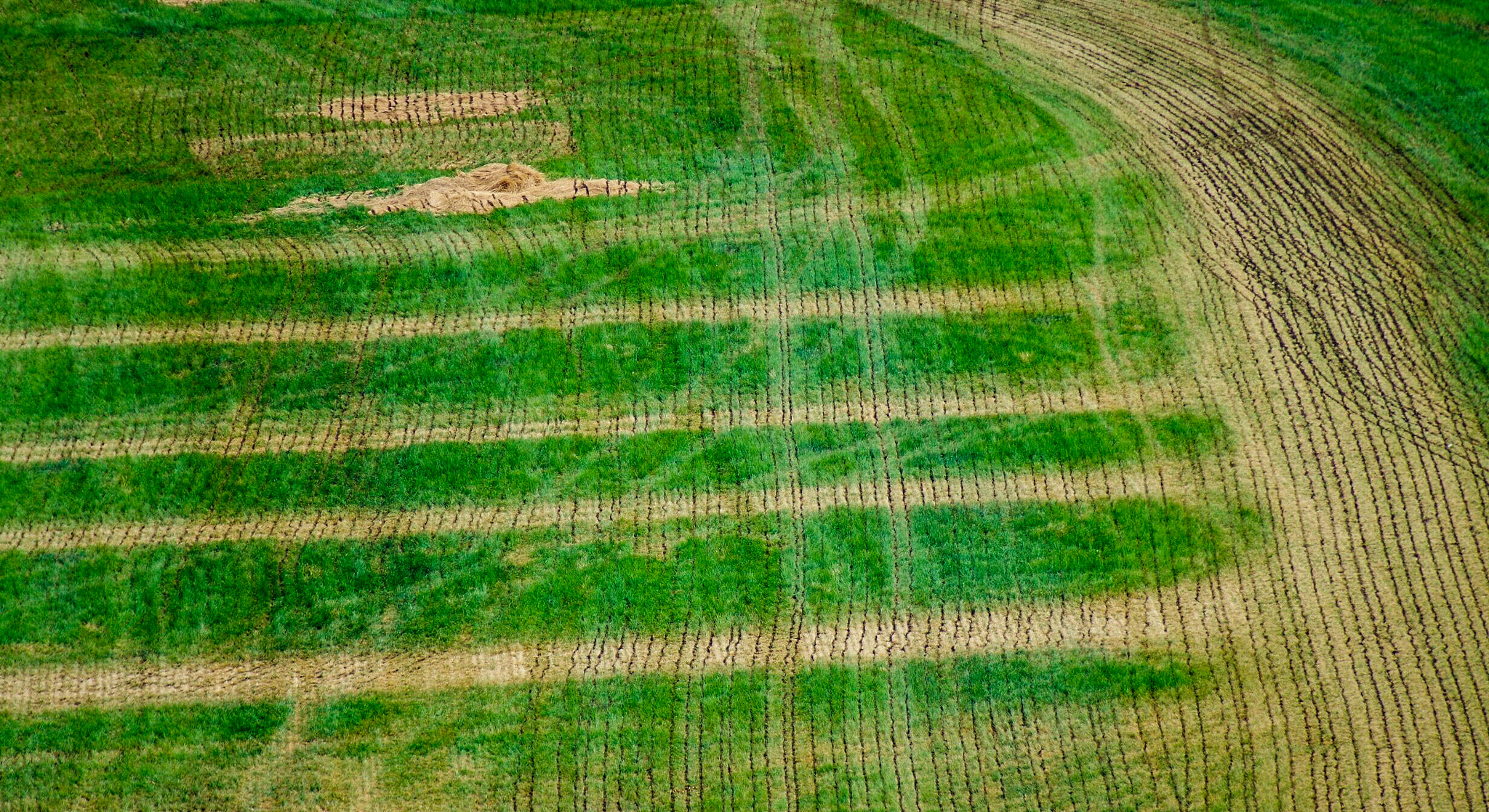 Pentax K-30 sample photo. Tracks in field photography