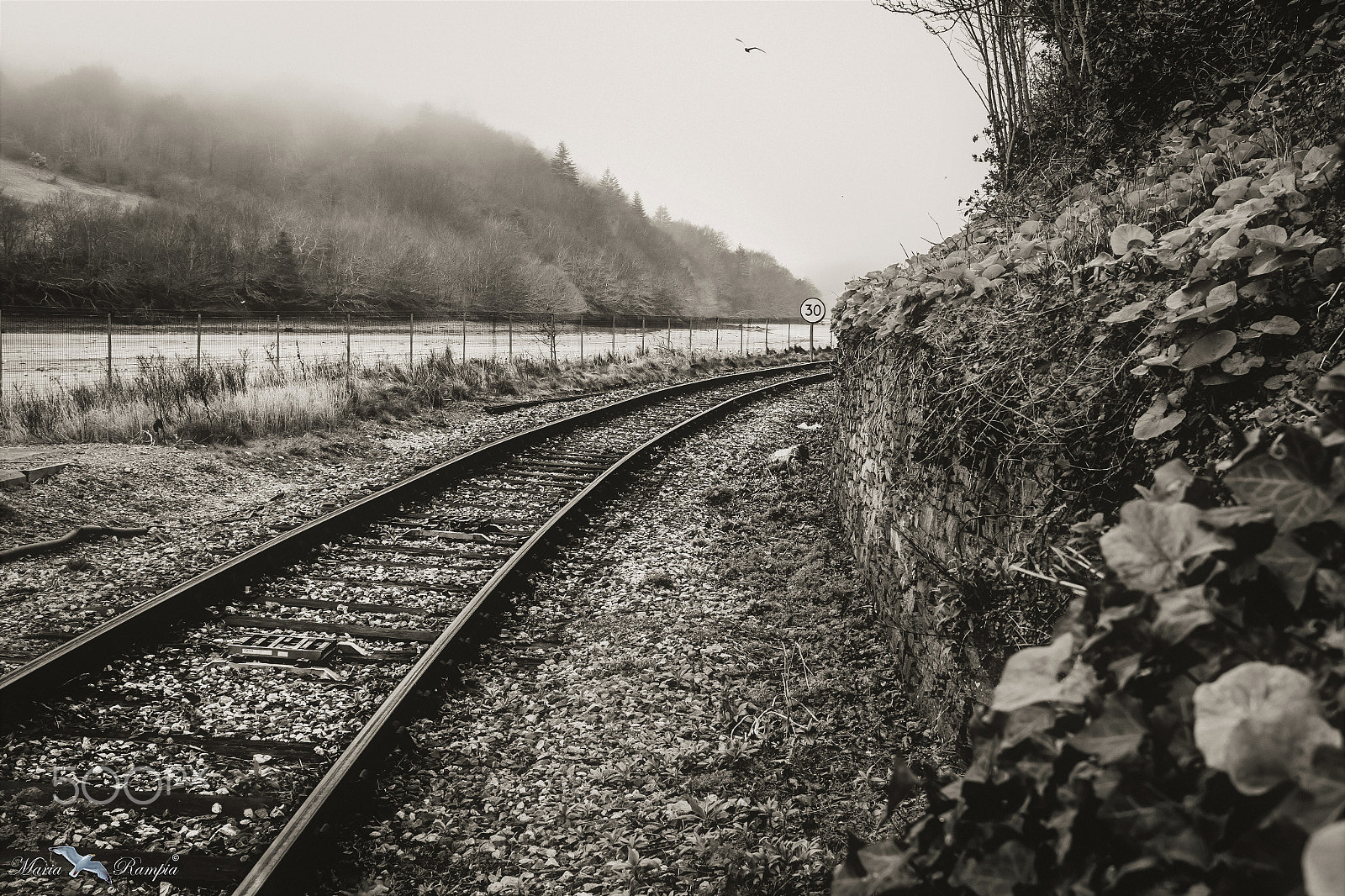 Canon EOS 70D + Canon EF-S 18-55mm F3.5-5.6 III sample photo. Foggy day at the station... photography