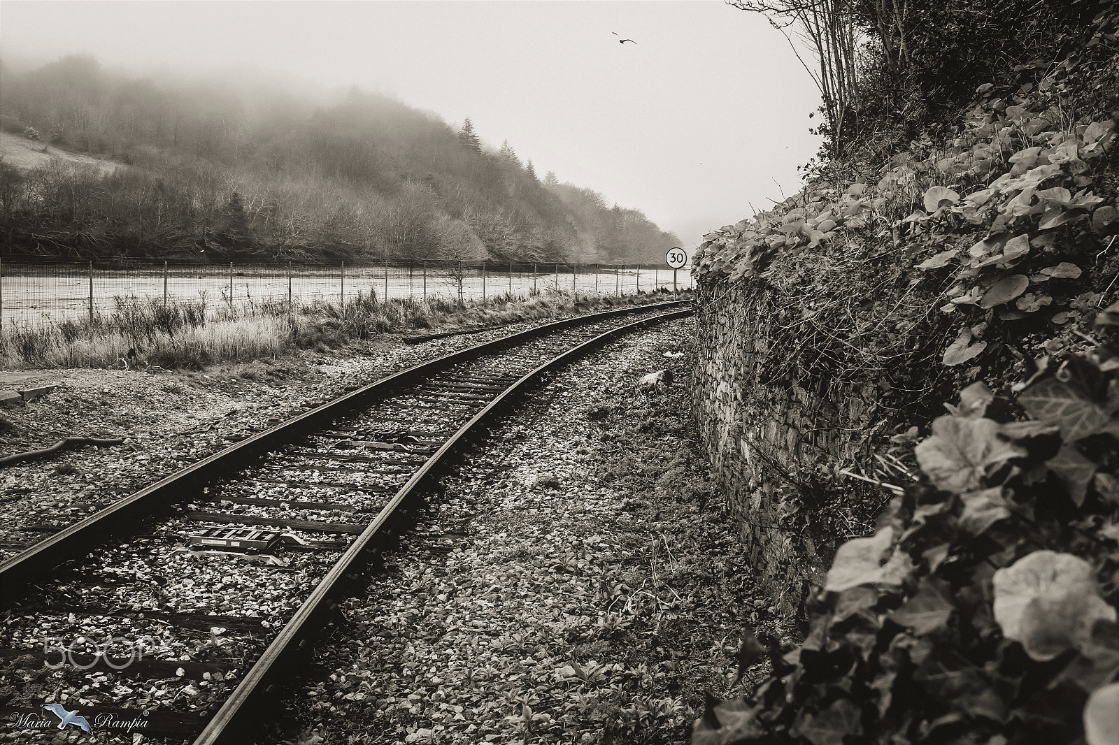 Canon EF-S 18-55mm F3.5-5.6 III sample photo. Foggy day at the station... photography