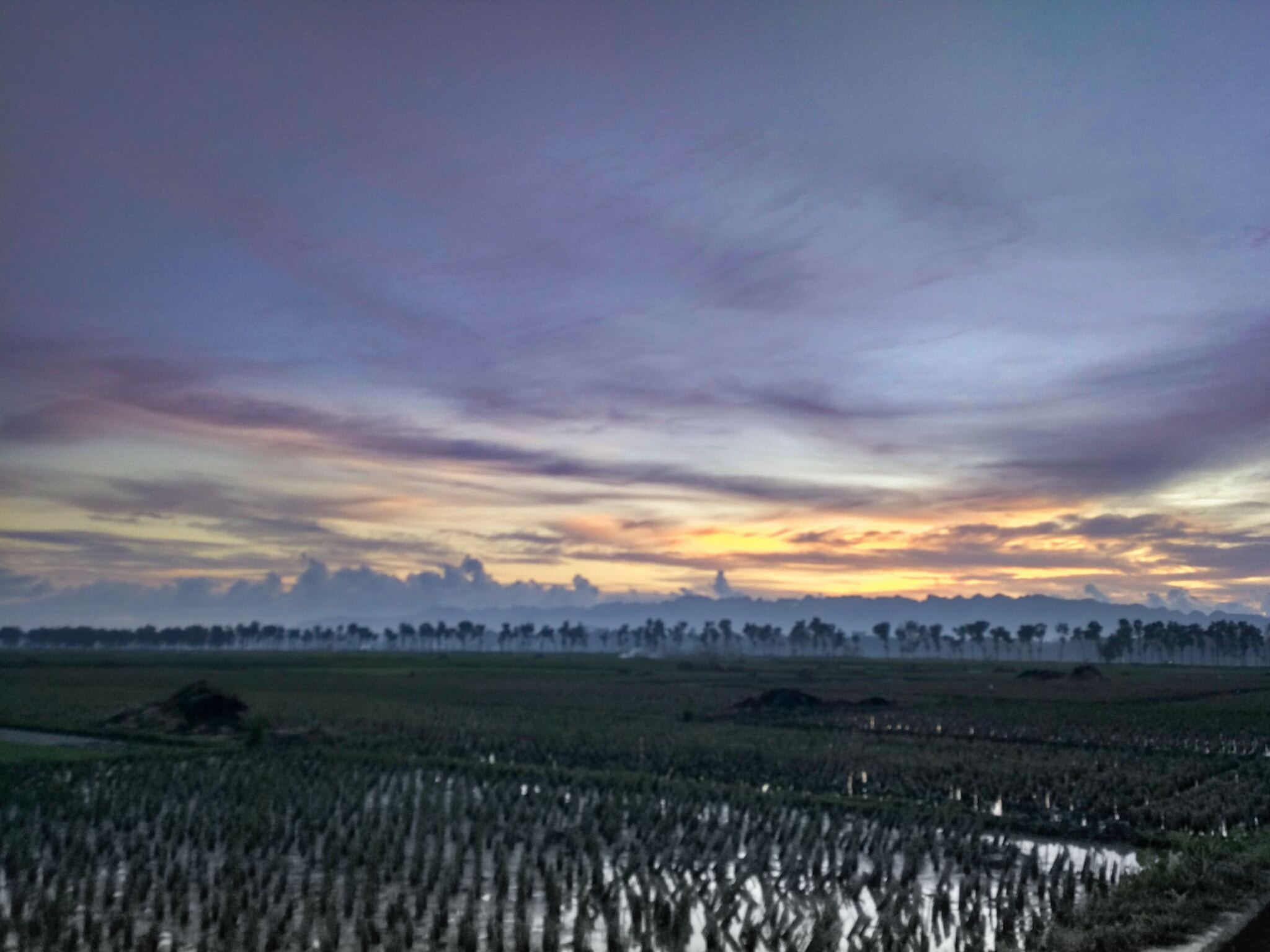 Xiaomi Mi-4c sample photo. Sore ini photography