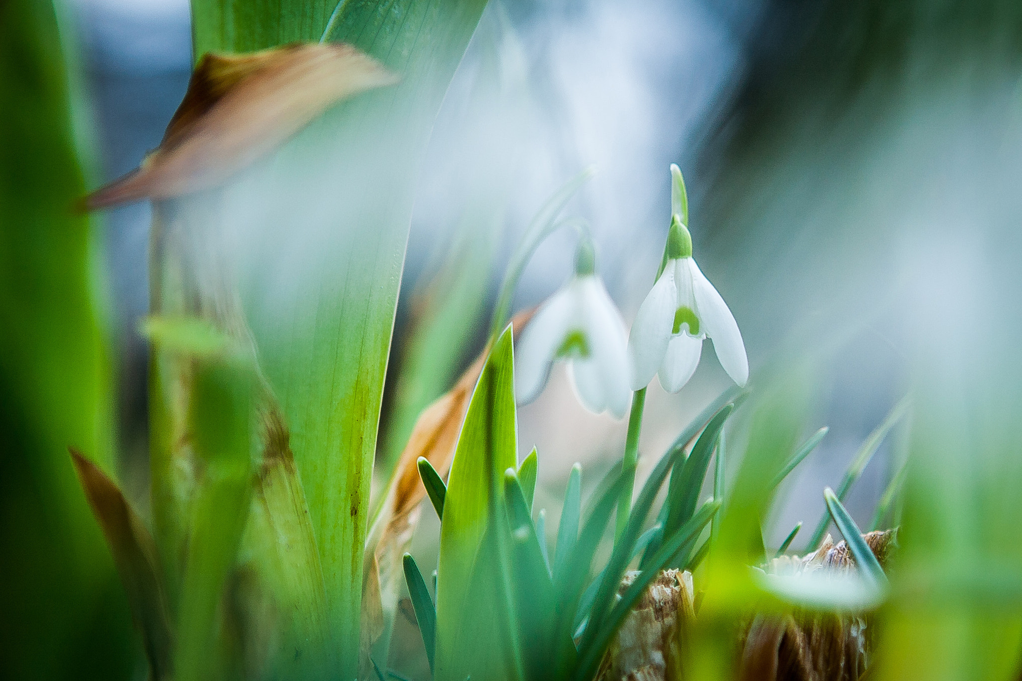 Canon EOS 5D + Canon EF 24-70mm F2.8L USM sample photo. Spring photography