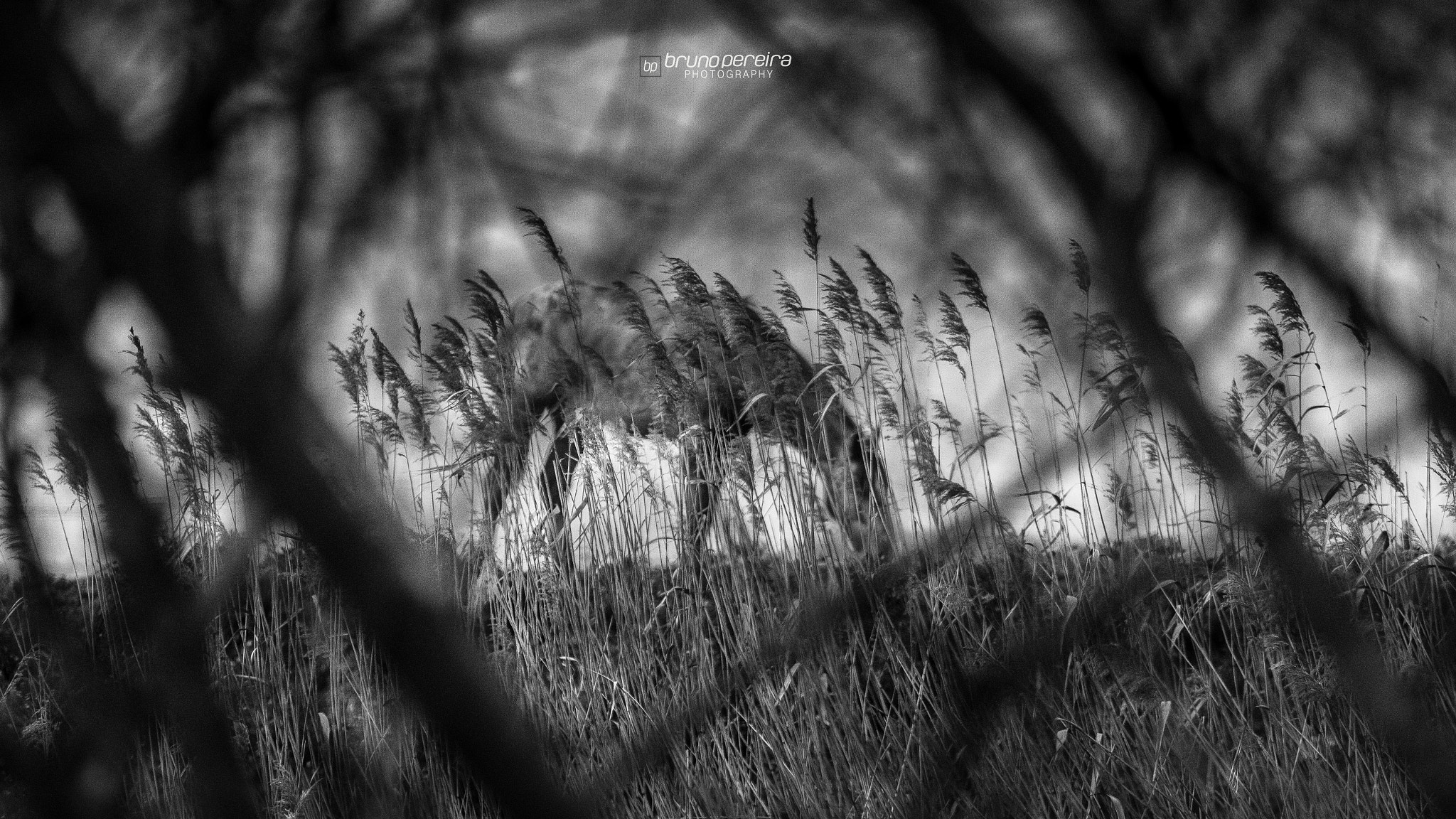 Canon EOS 7D + Canon EF 70-200mm F4L USM sample photo. Hidden places photography