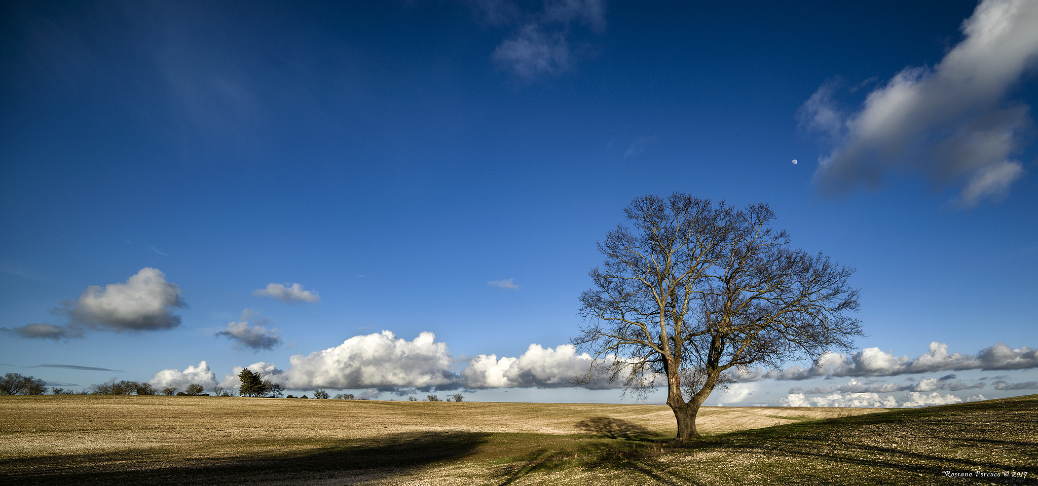 Samyang 14mm F2.8 ED AS IF UMC sample photo. Solo, tra vento e pioggia tra sole e nuvole, un an ... photography