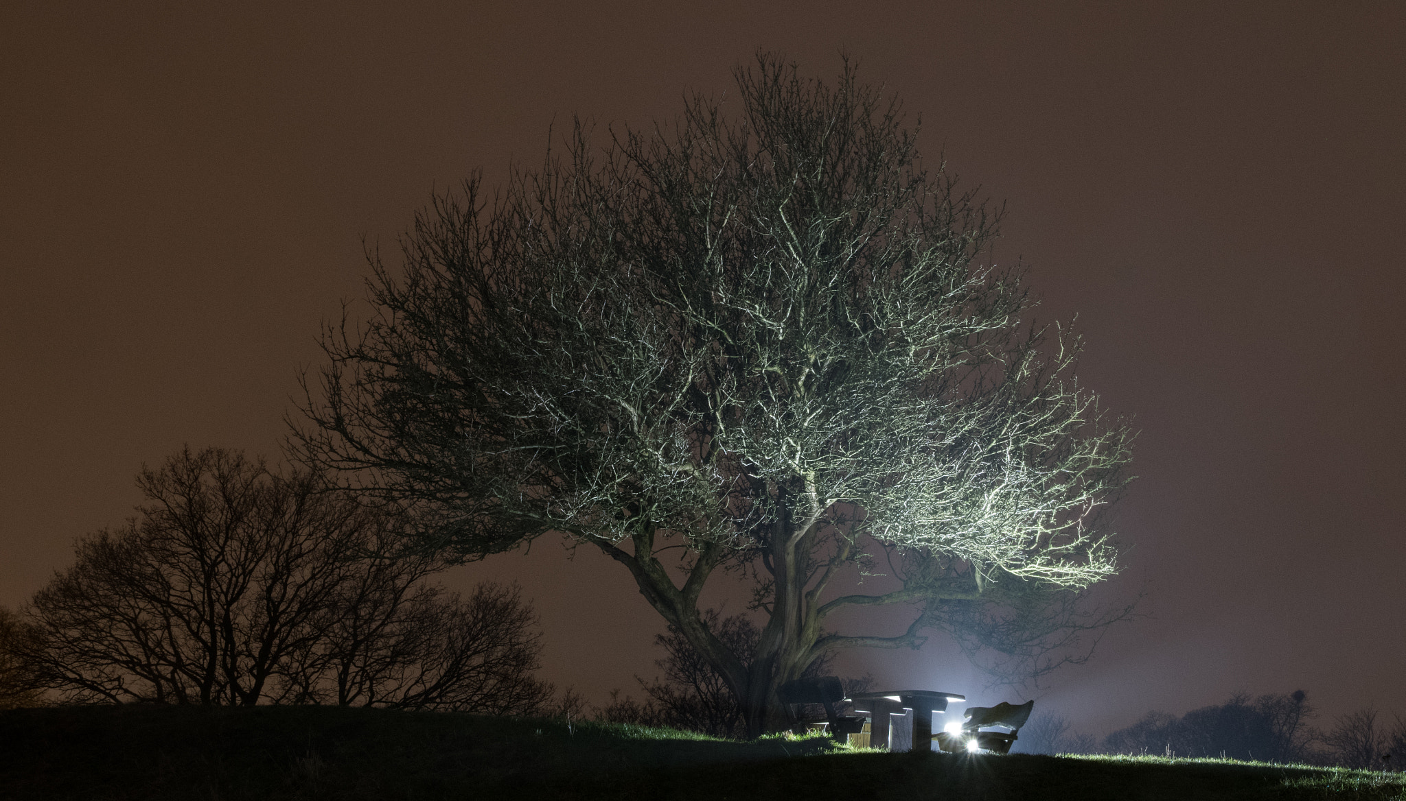 Nikon D500 sample photo. Light photography