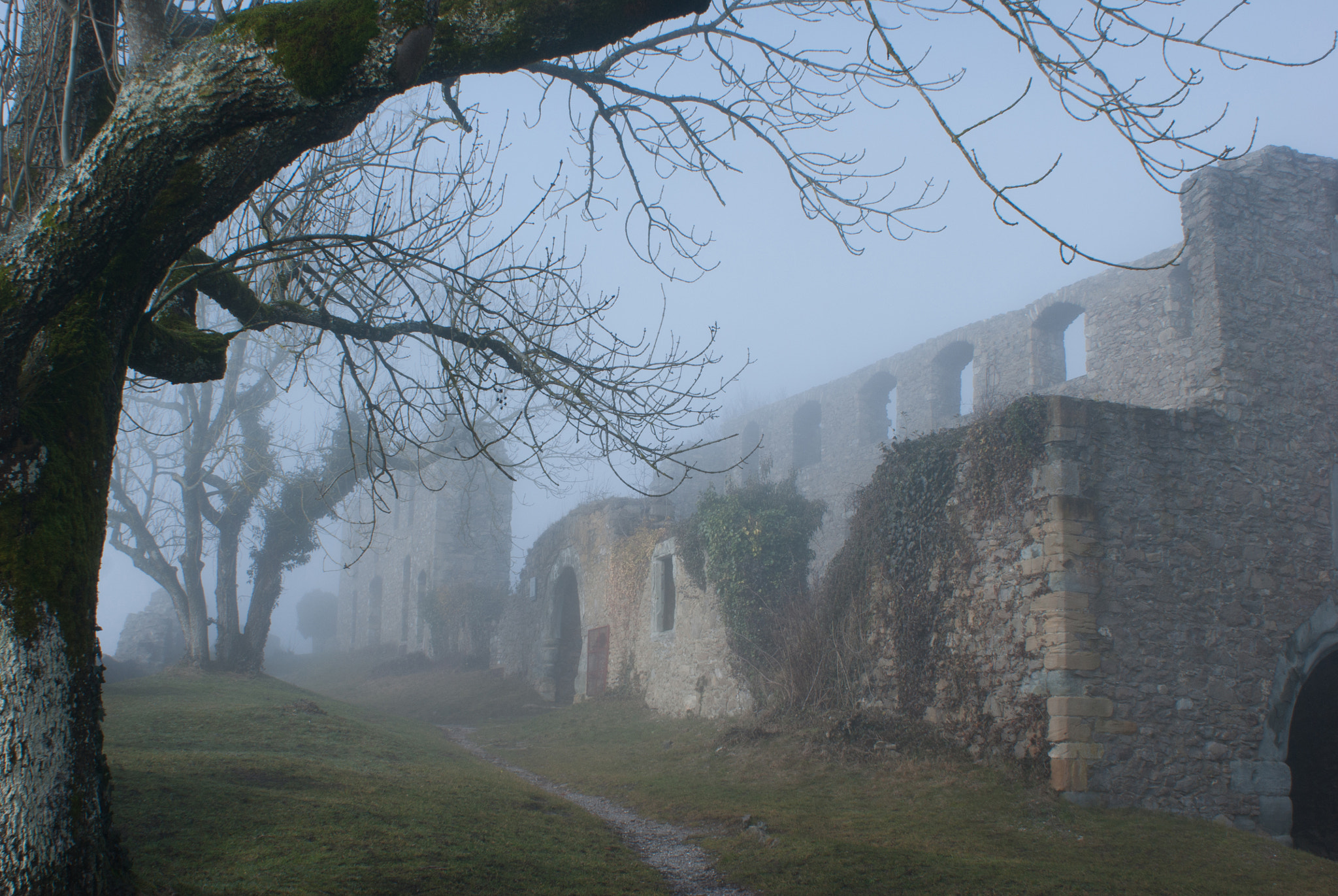 Sony Alpha DSLR-A380 sample photo. Sun eats fog photography