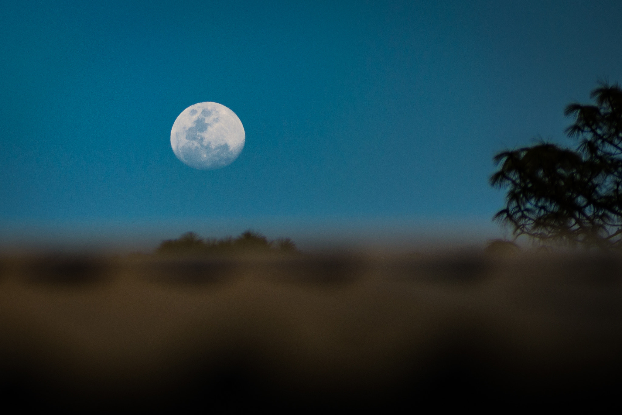 AF Zoom-Nikkor 80-200mm f/2.8 ED sample photo. Moon photography