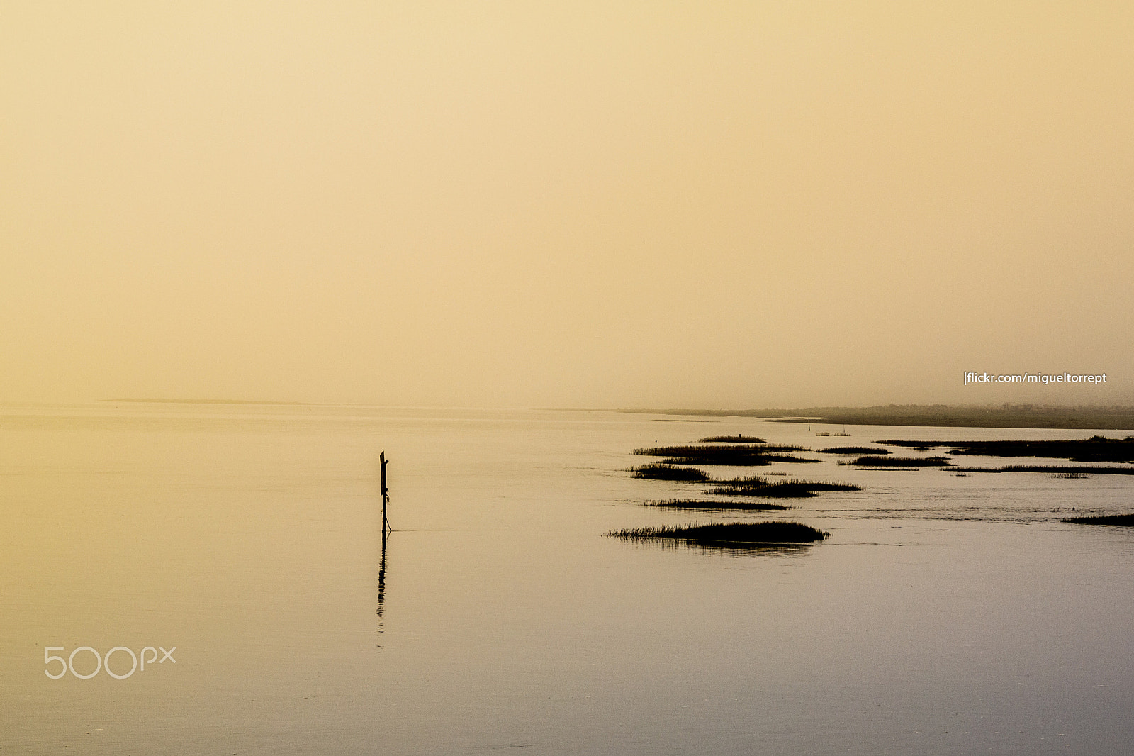 Samsung NX300 + Samsung NX 18-55mm F3.5-5.6 OIS sample photo. "ria formosa" under an intense fog photography