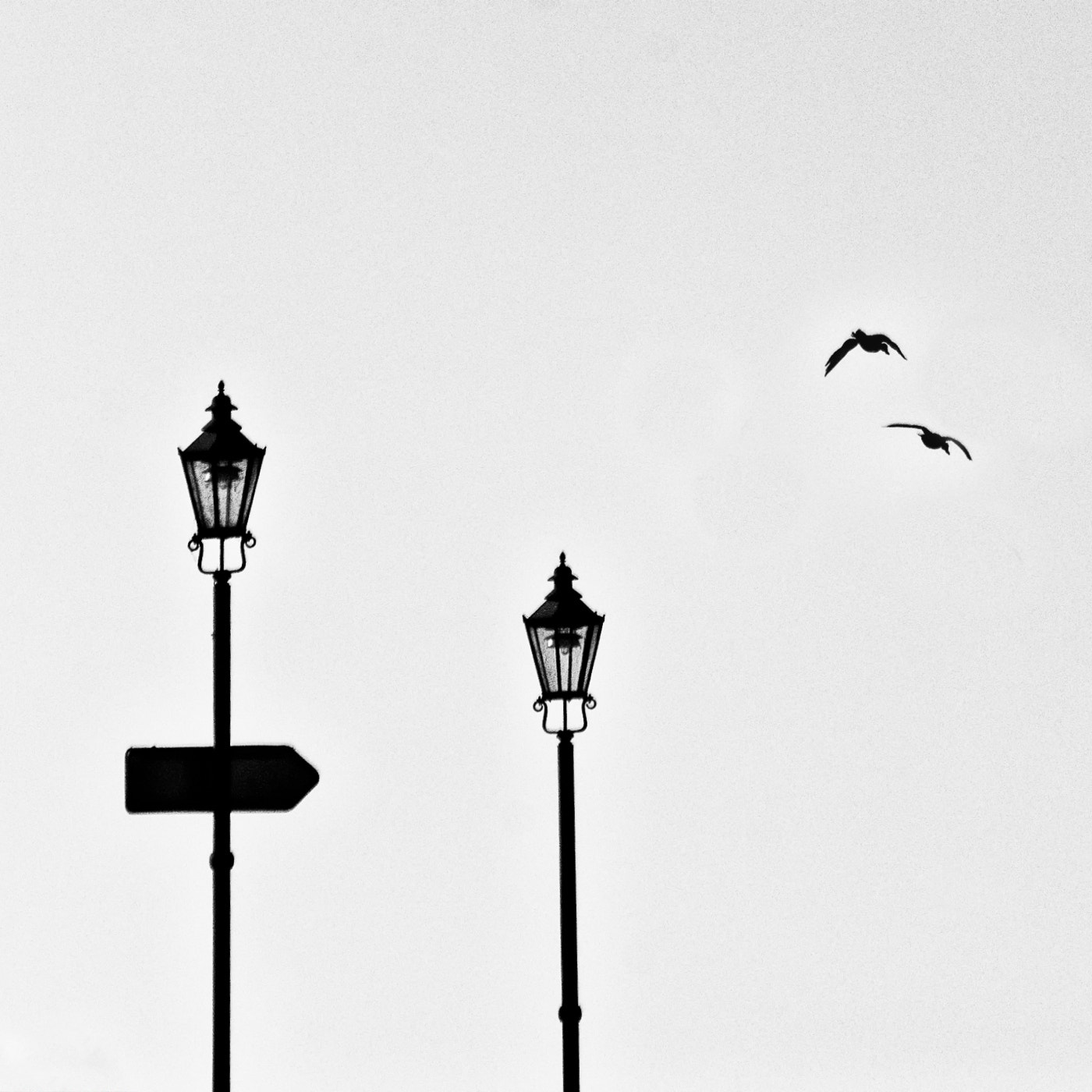 Nikon D3000 sample photo. Tam... photography