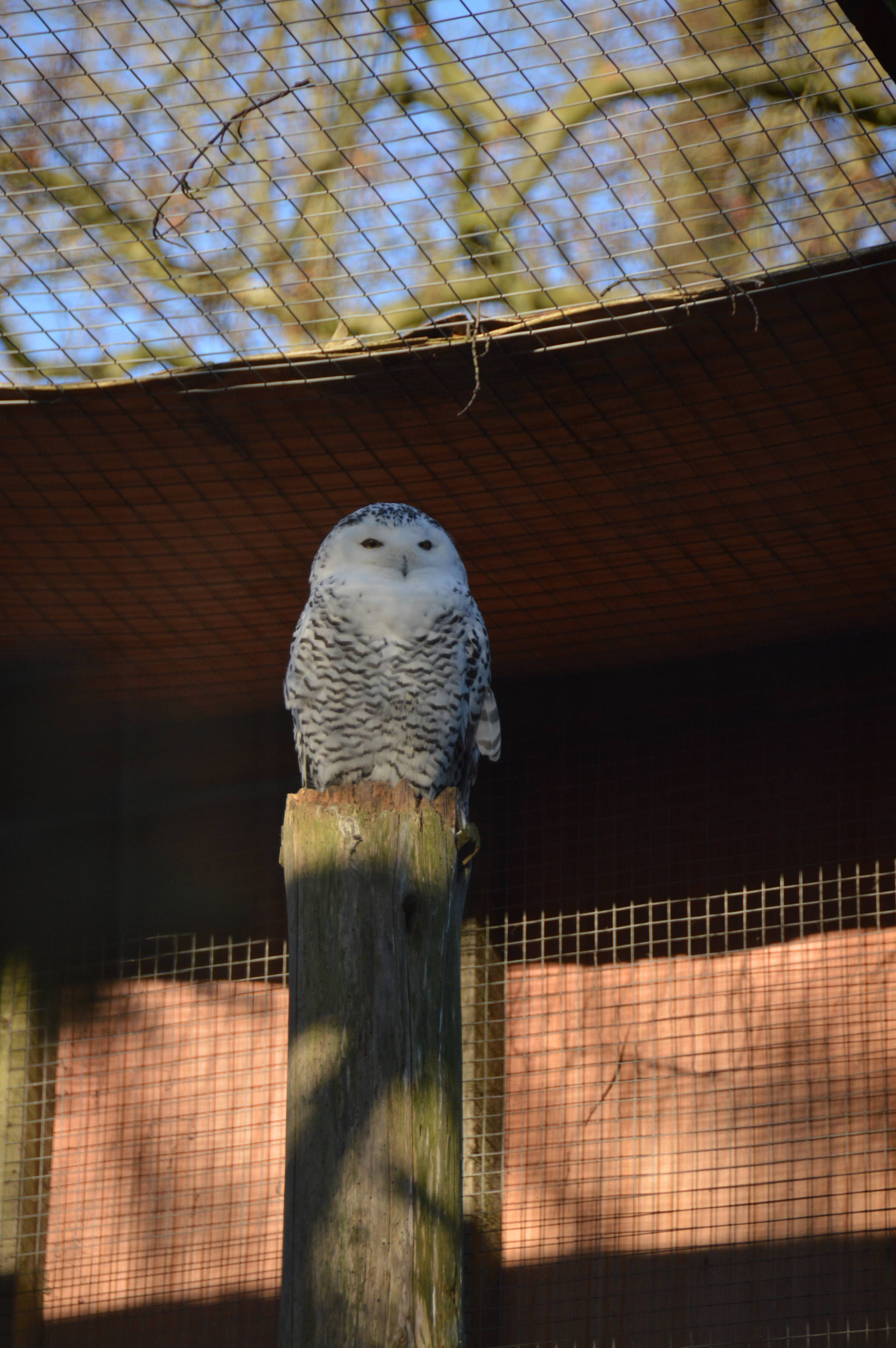 Nikon D3200 sample photo. Cool photography