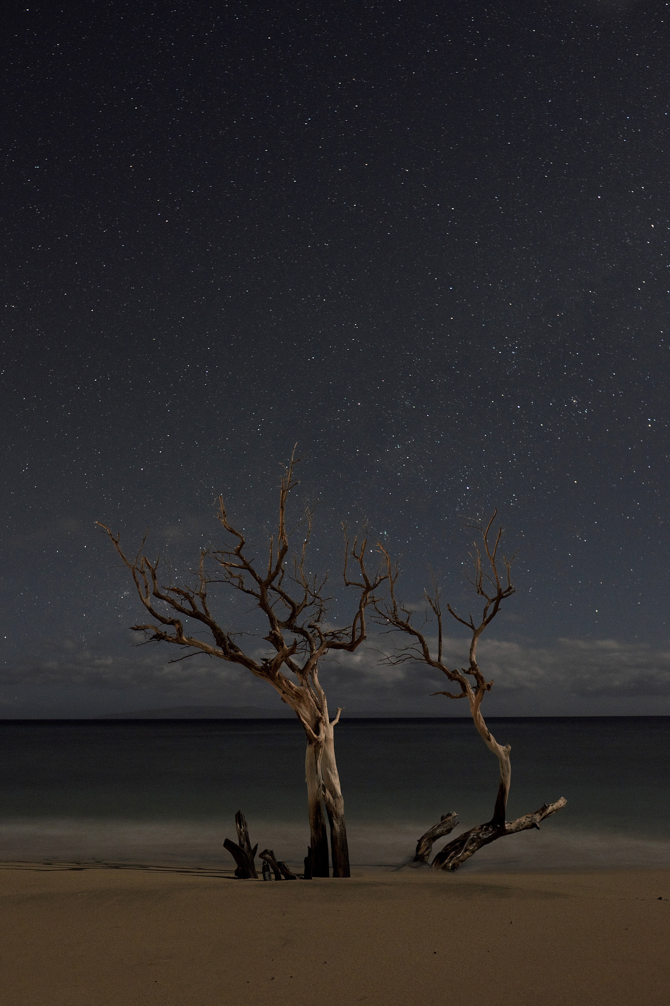 Fujifilm X-T1 + Fujifilm XF 16mm F1.4 R WR sample photo. Reaching up photography