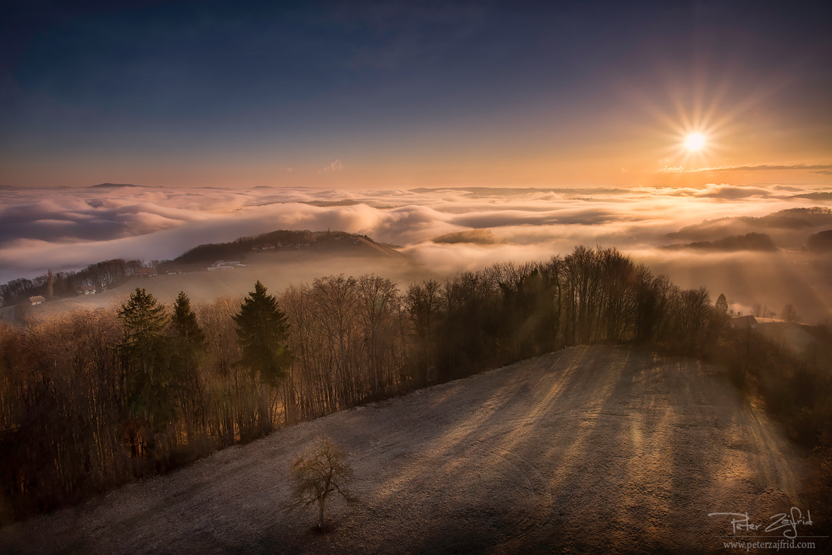 Nikon D810 sample photo. Into the sun photography