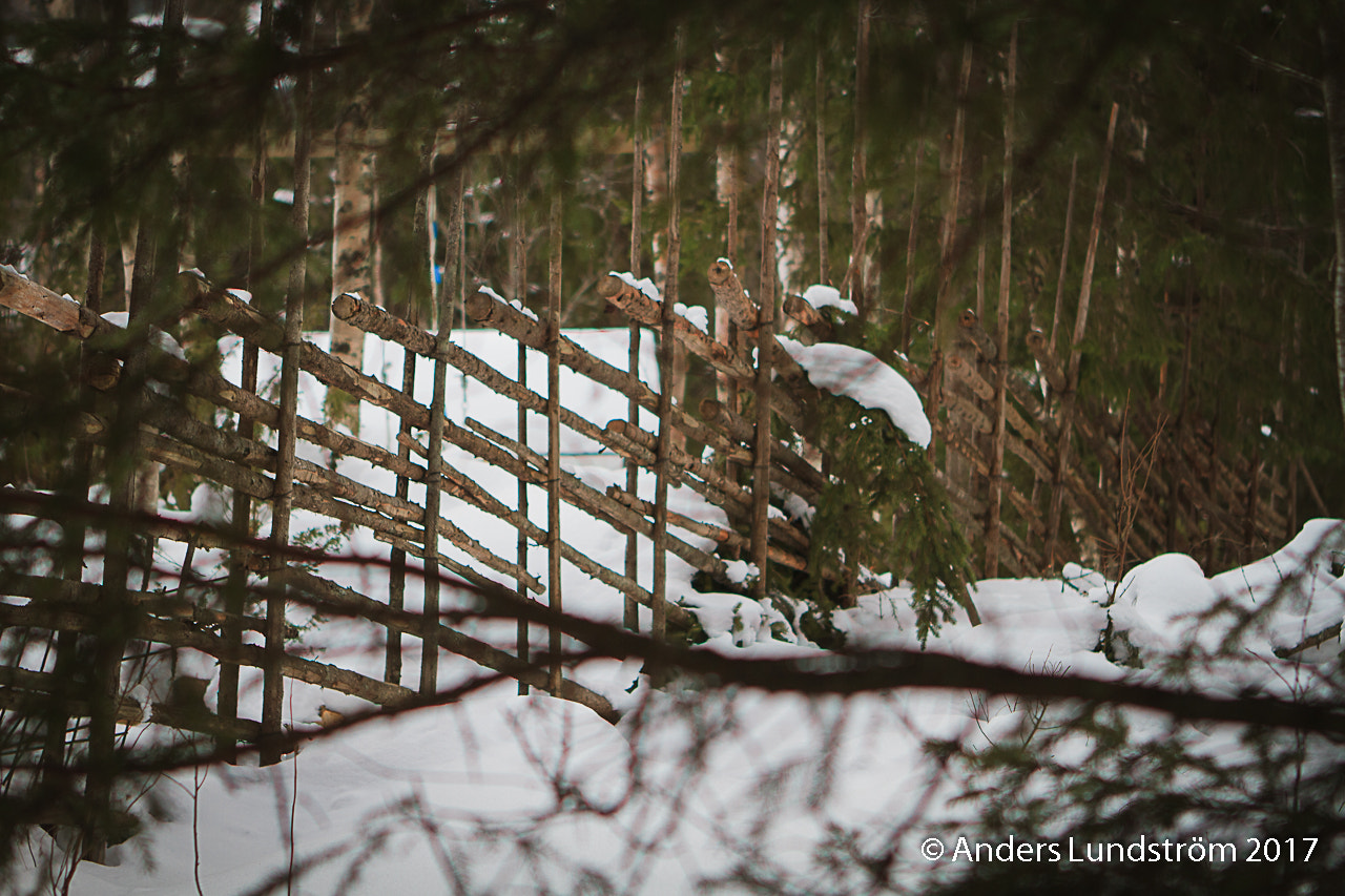 Canon EOS 7D + Canon EF 24-70mm F2.8L USM sample photo. Gärdsgård! photography