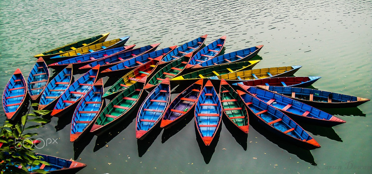 Sony DSC-T90 sample photo. Petals made of boats! photography