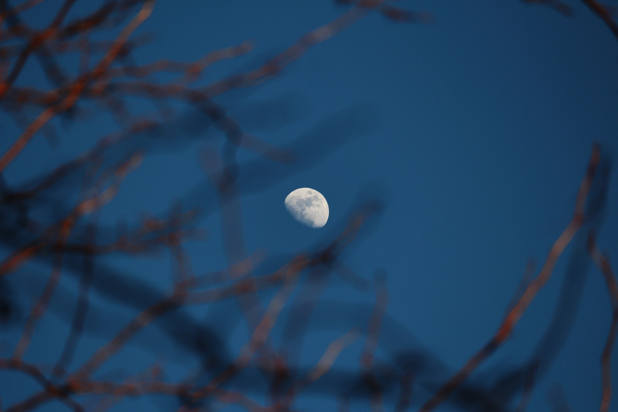 Canon EF-S 55-250mm F4-5.6 IS STM sample photo