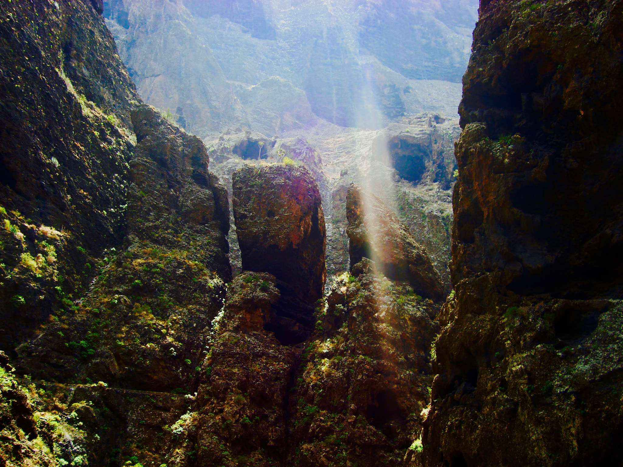 Sony DSC-W125 sample photo. The  masca gulch  on tenerife. photography