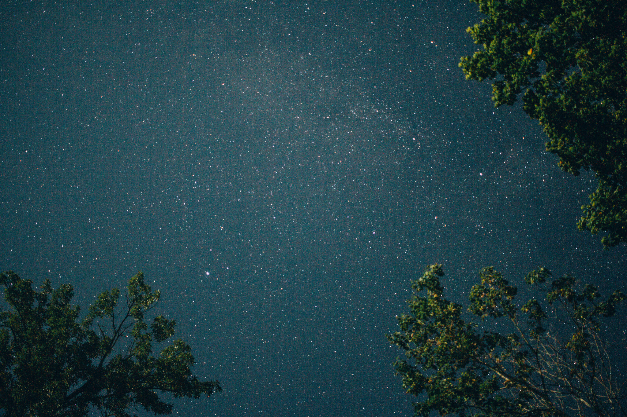 Canon EF-S 24mm F2.8 STM sample photo. Photo eafebce photography