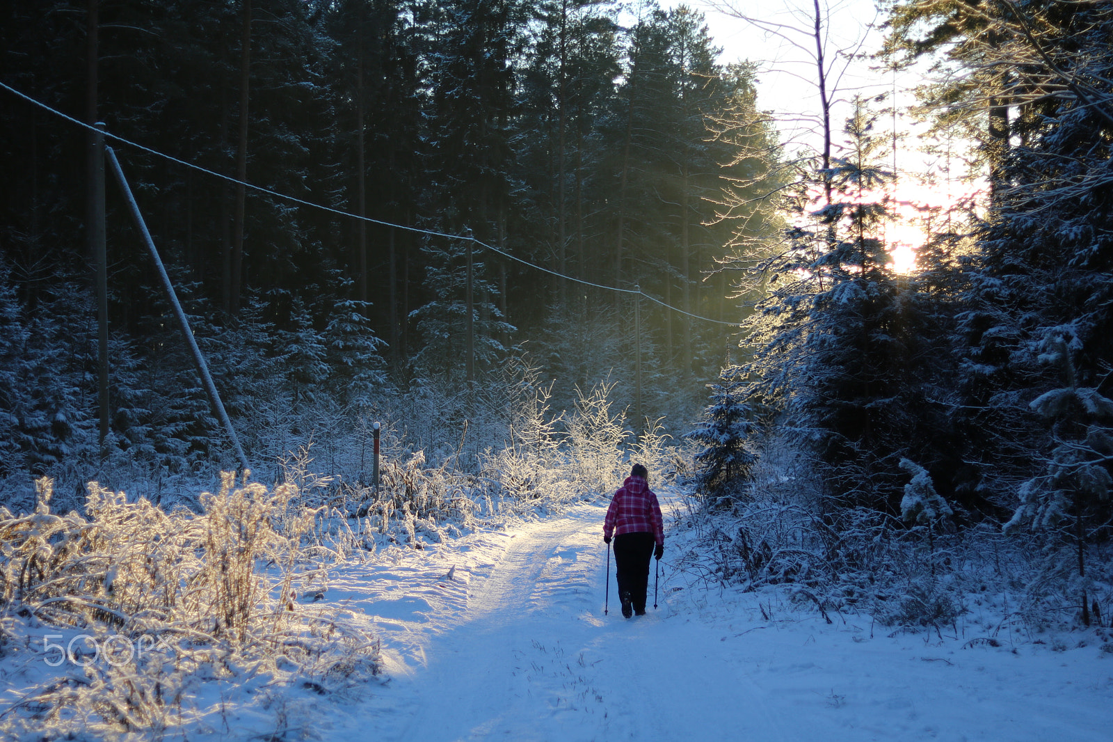Canon EOS 760D (EOS Rebel T6s / EOS 8000D) + Canon EF 50mm F1.8 STM sample photo. Winter photography