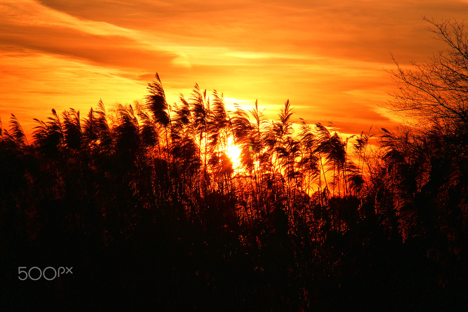 Canon EF-S 18-200mm F3.5-5.6 IS sample photo. Golden sky photography
