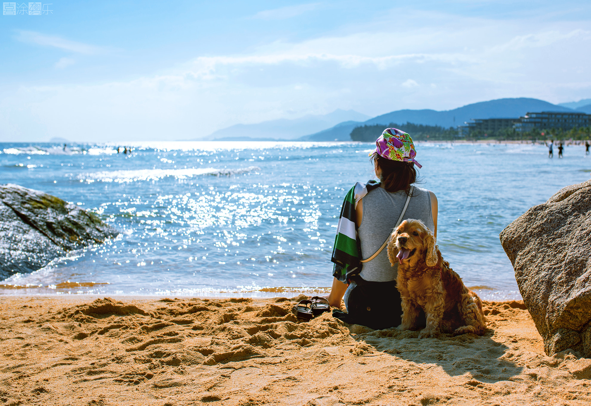 Nikon D810 + Sigma 35mm F1.4 DG HSM Art sample photo. 躲在主人背后阴影的可卡 photography