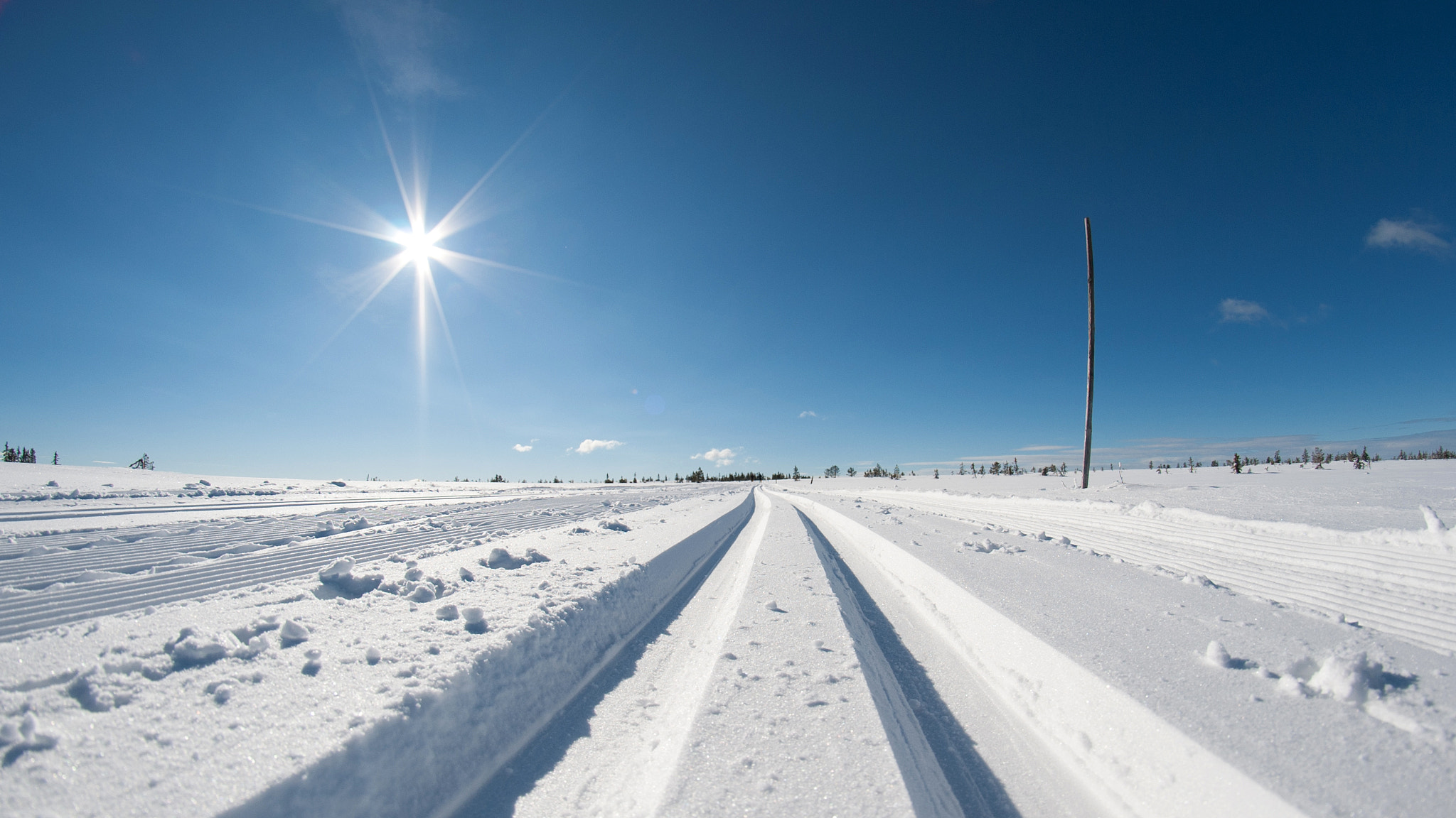 Nikon D700 + Samyang 8mm F3.5 Aspherical IF MC Fisheye sample photo. Hedmarksvidda photography