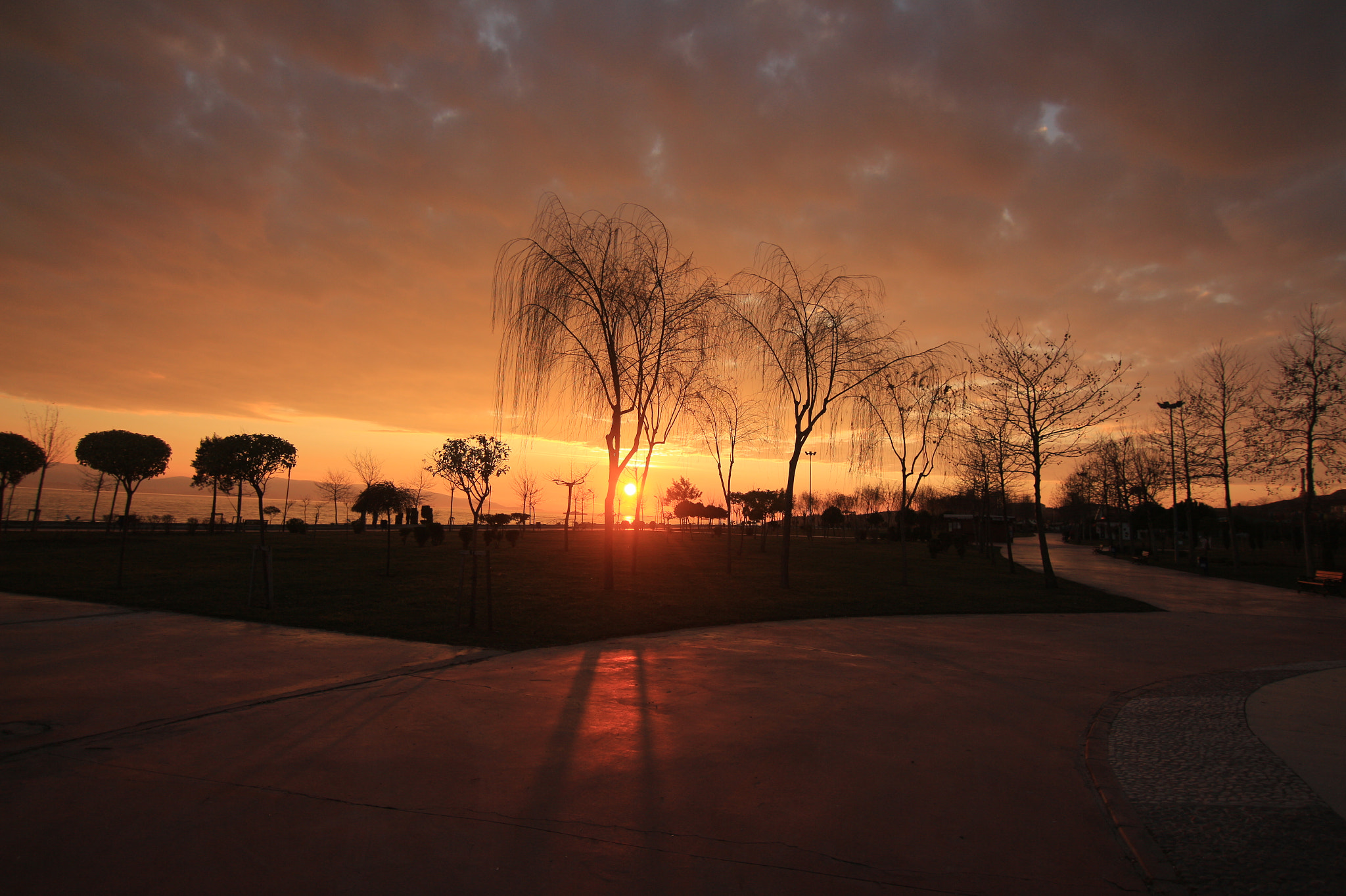 Canon EOS 700D (EOS Rebel T5i / EOS Kiss X7i) + Tokina AT-X Pro 11-16mm F2.8 DX sample photo. Sunset photography