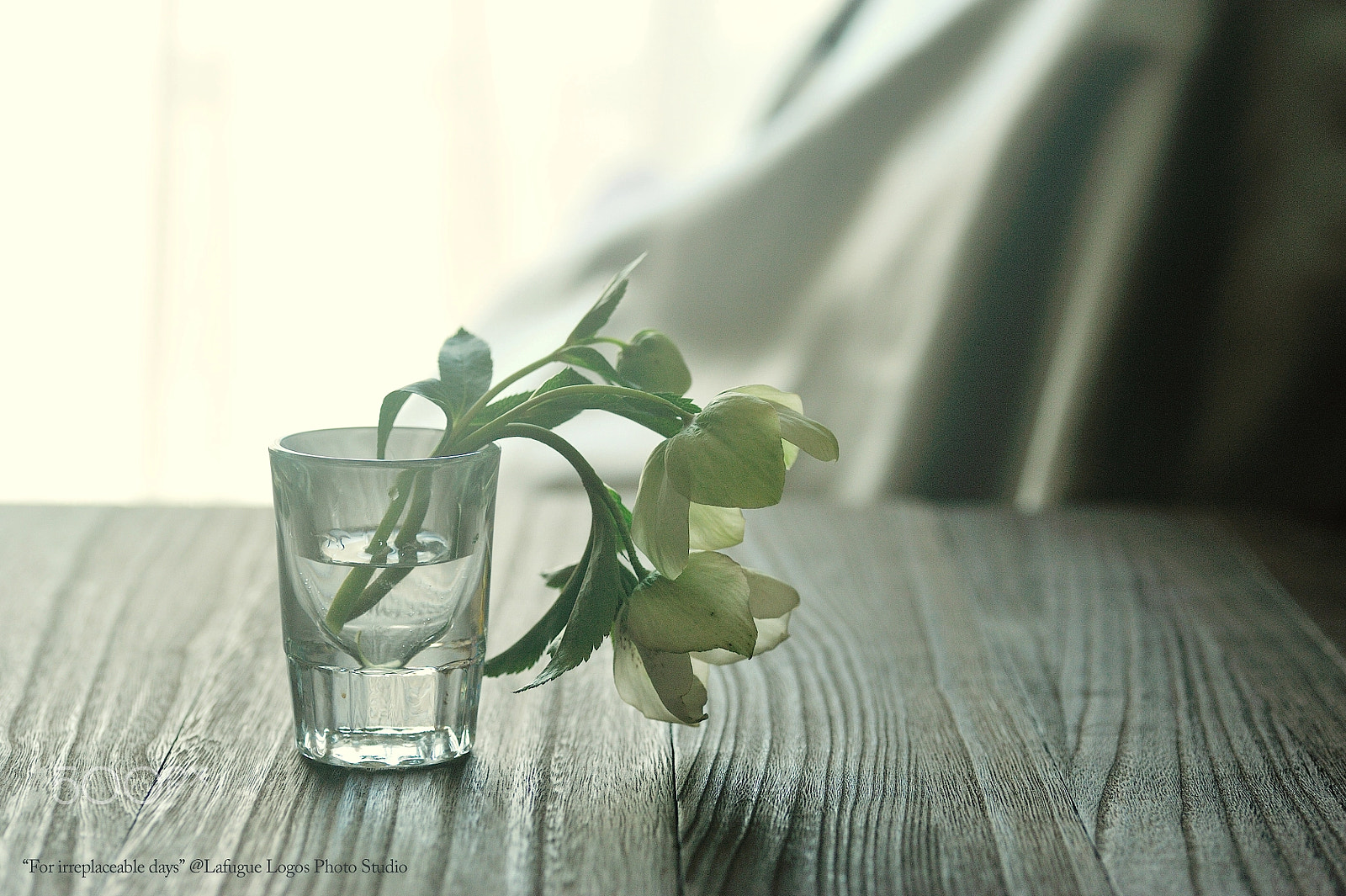 Nikon D700 sample photo. For irreplaceable days photography