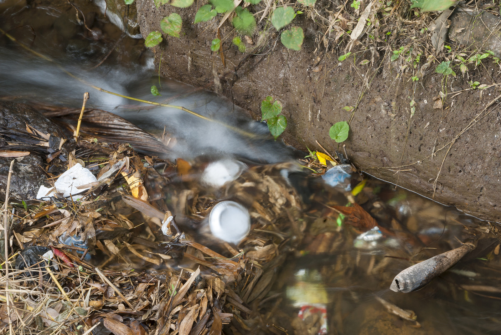 Nikon D200 sample photo. Pollution in the pacific coast river in guatemala. photography
