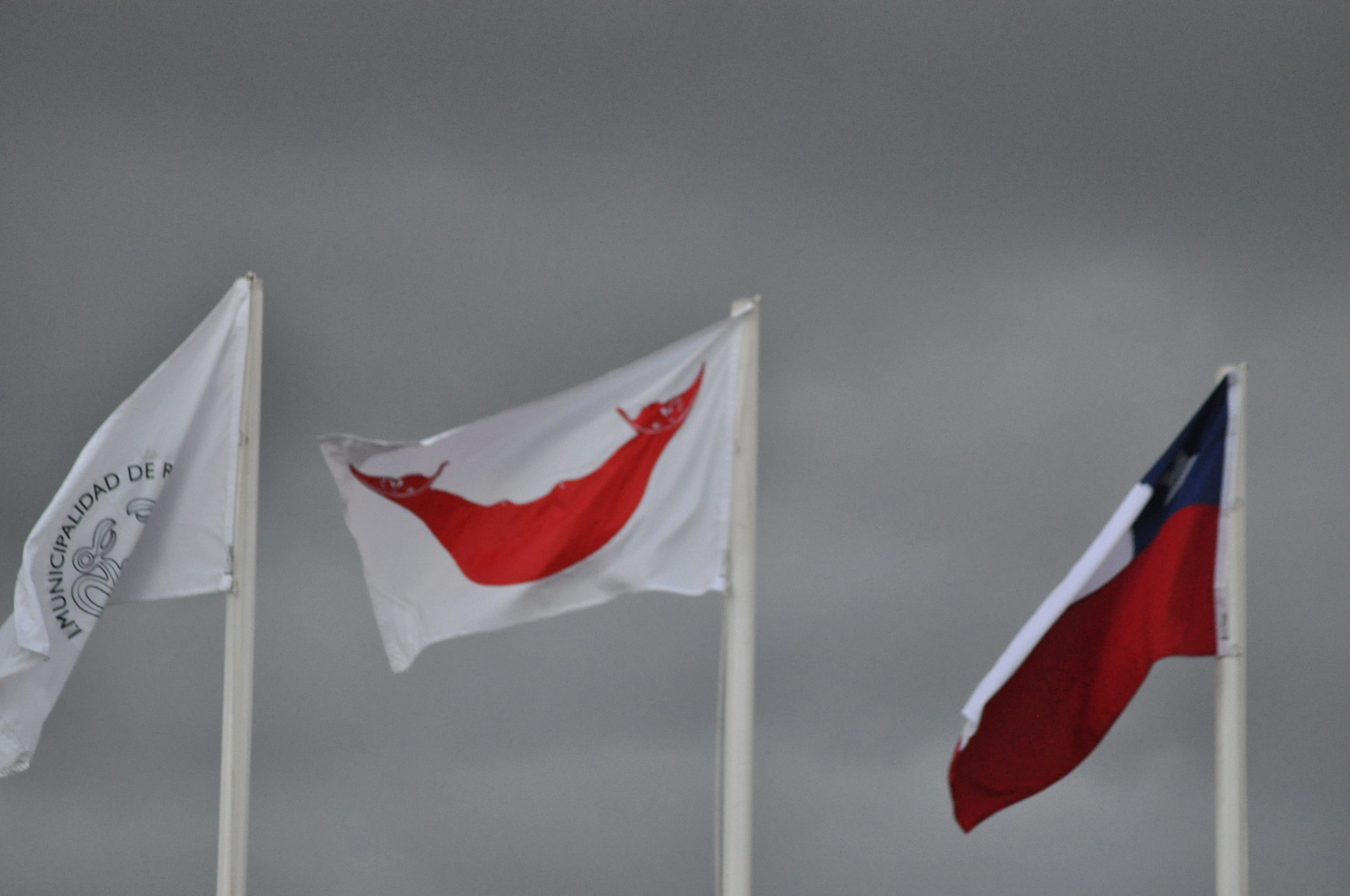 Sigma 70-300mm F4-5.6 APO DG Macro sample photo. Rapa nui flag photography