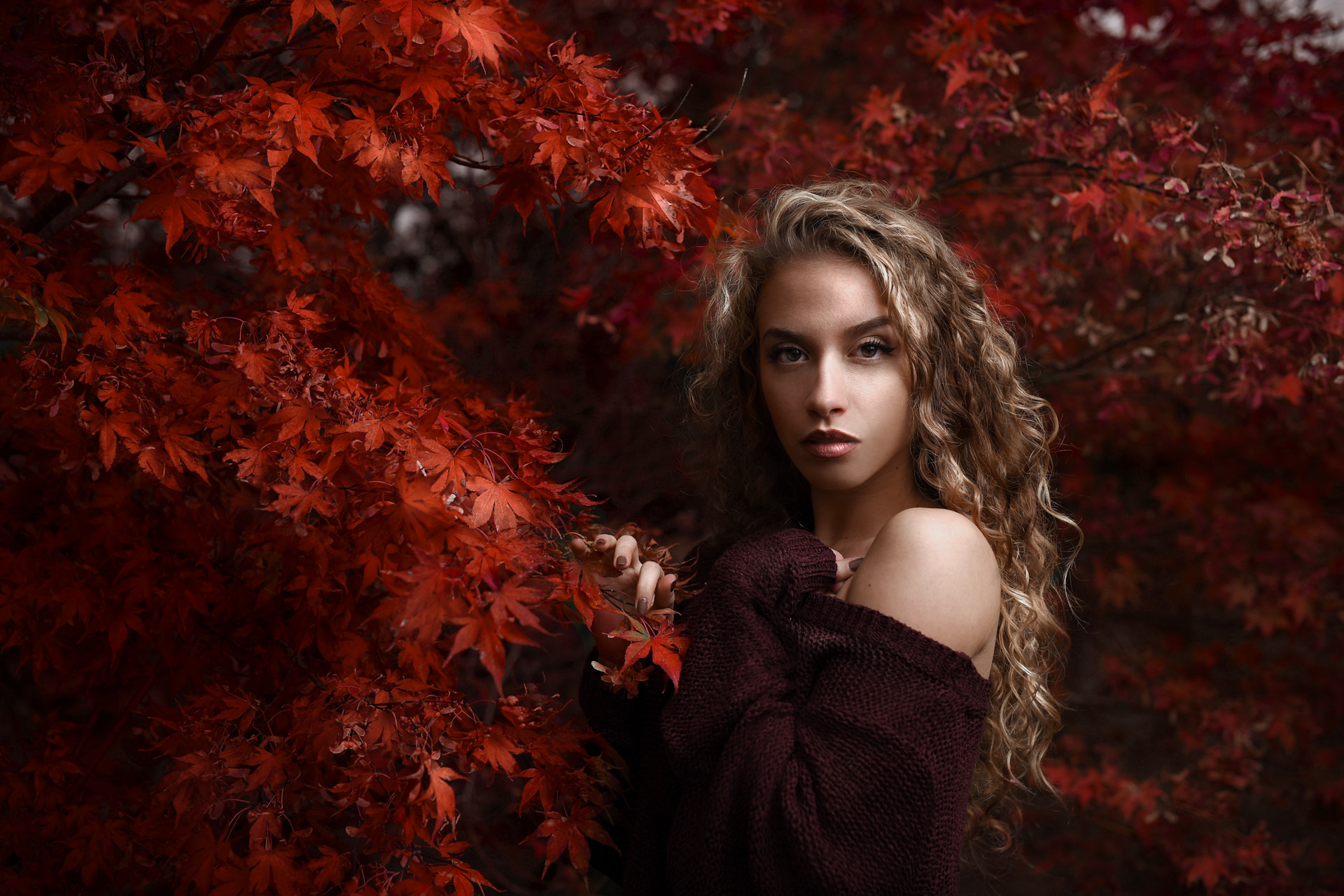 Sigma 50mm F1.4 DG HSM Art sample photo. Autumn colors photography