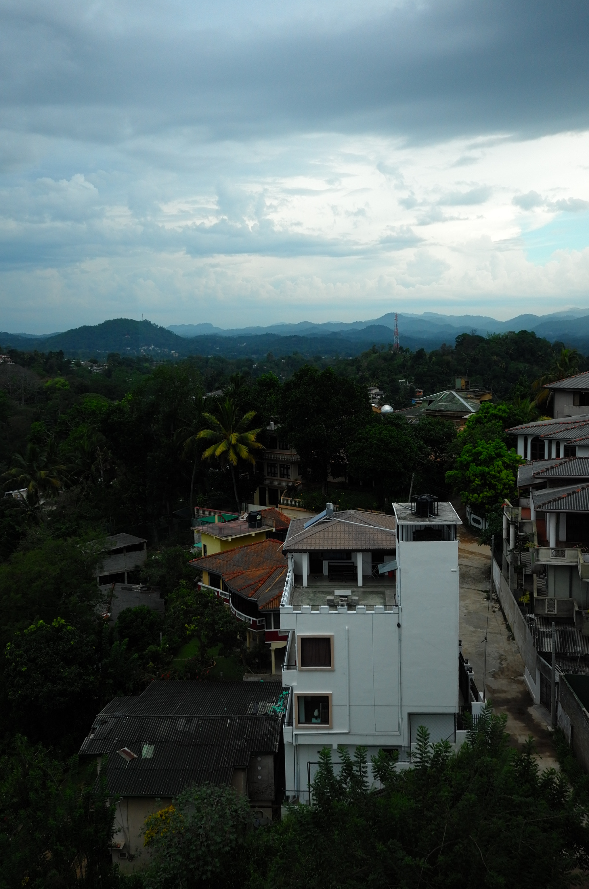 Leica X (Typ 113) sample photo. Sri lanka photography