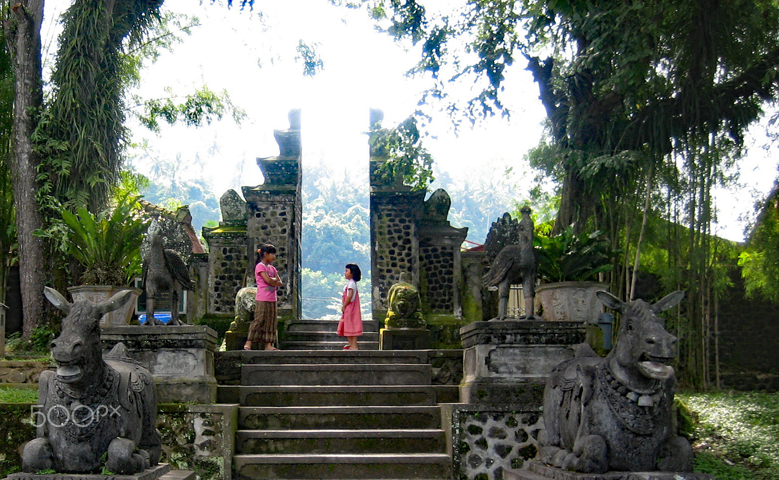 Canon DIGITAL IXUS 50 sample photo. On the stairs by henning laatshc photography