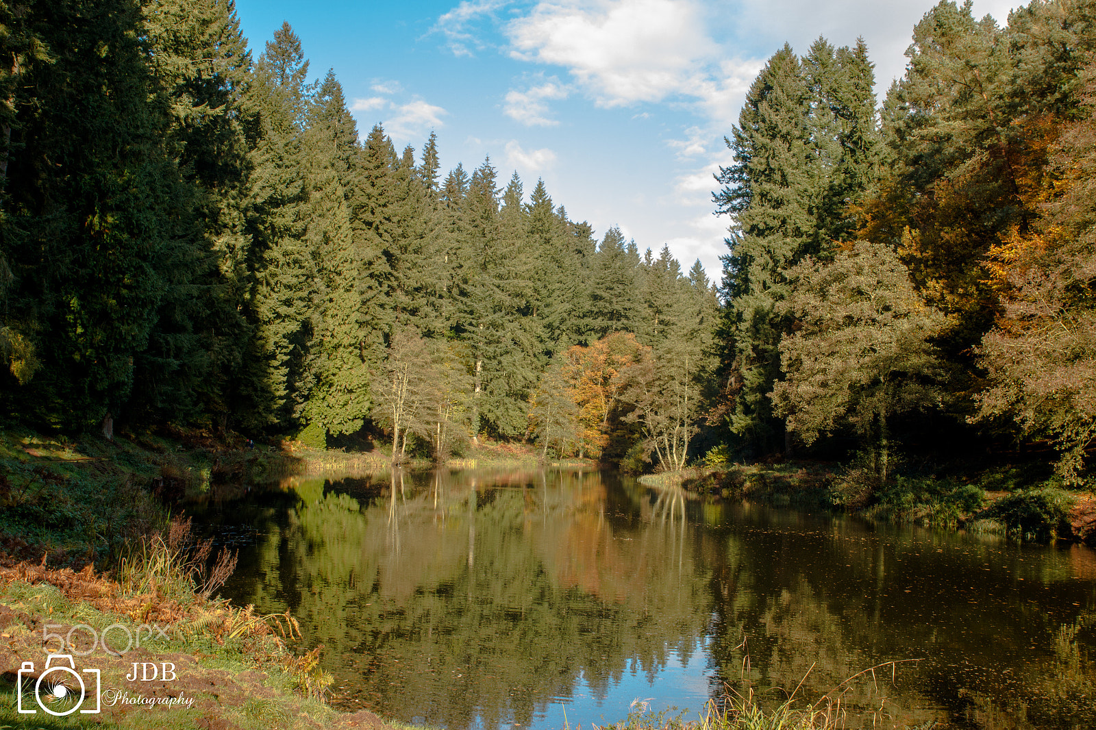 Canon EOS 70D + Sigma 24-70mm F2.8 EX DG Macro sample photo. Soudley ponds, forest of dean photography